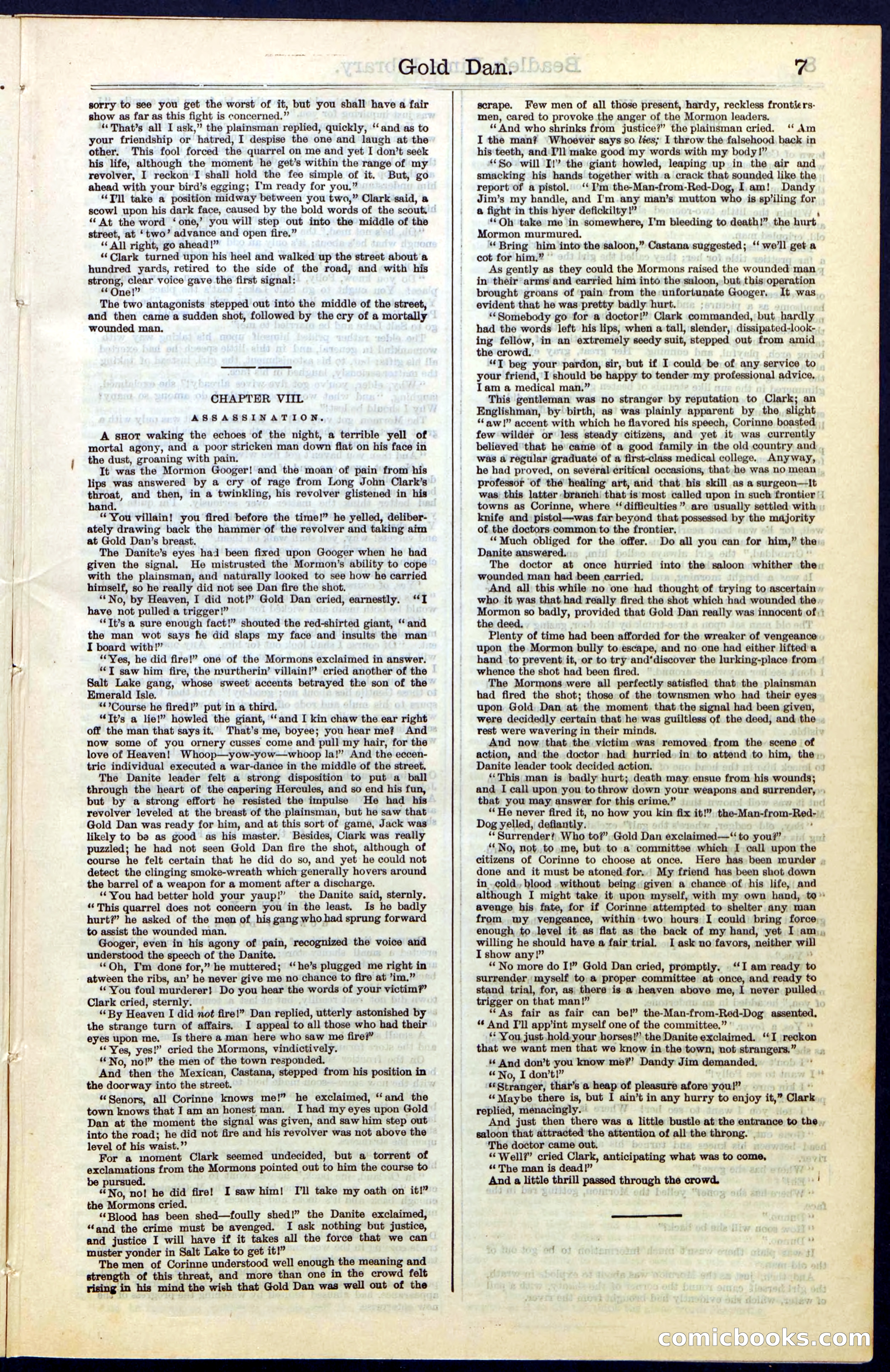 Beadle's New York Dime Library, No. 41 — page 7 of 32