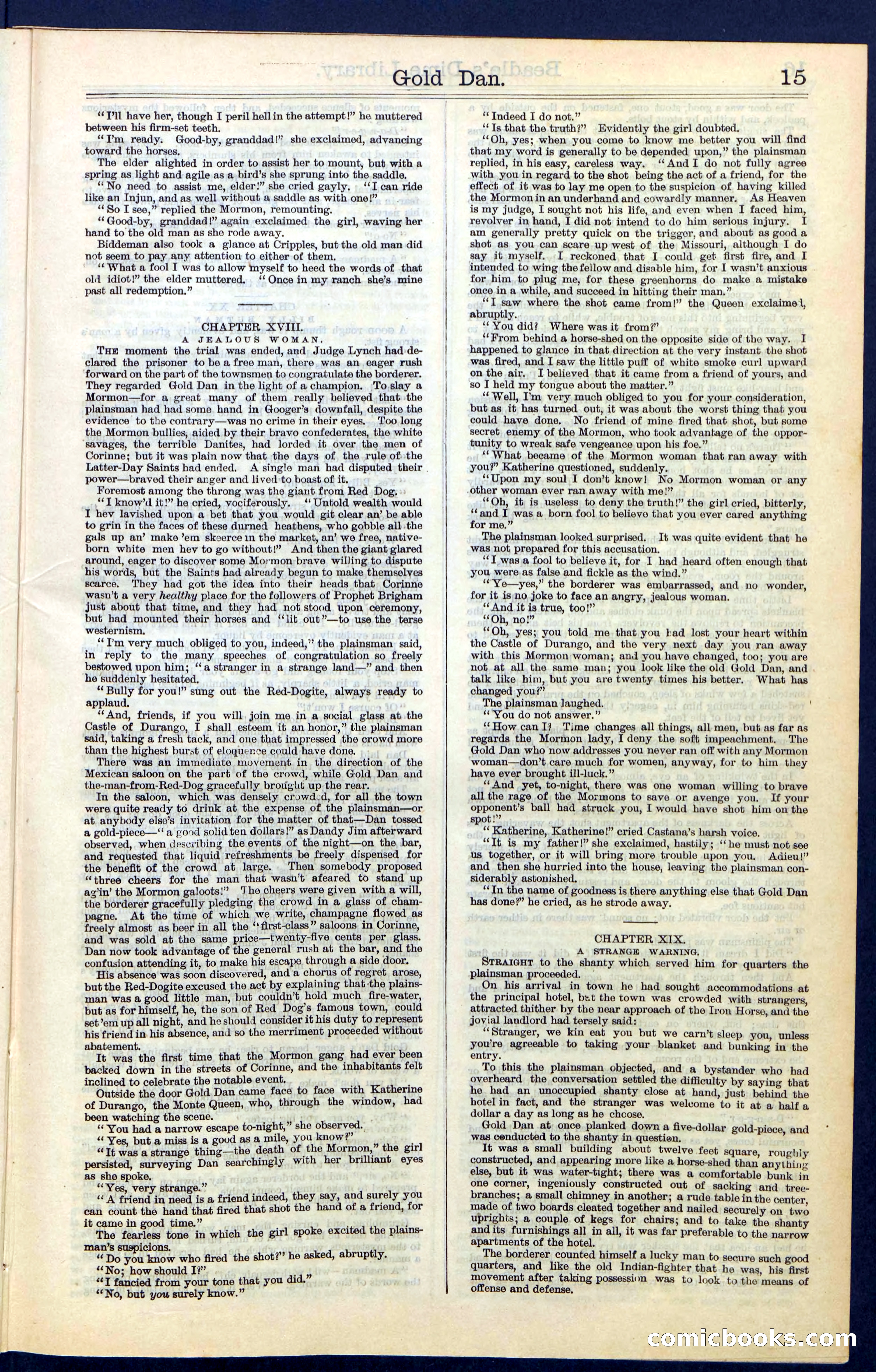 Beadle's New York Dime Library, No. 41 — page 15 of 32