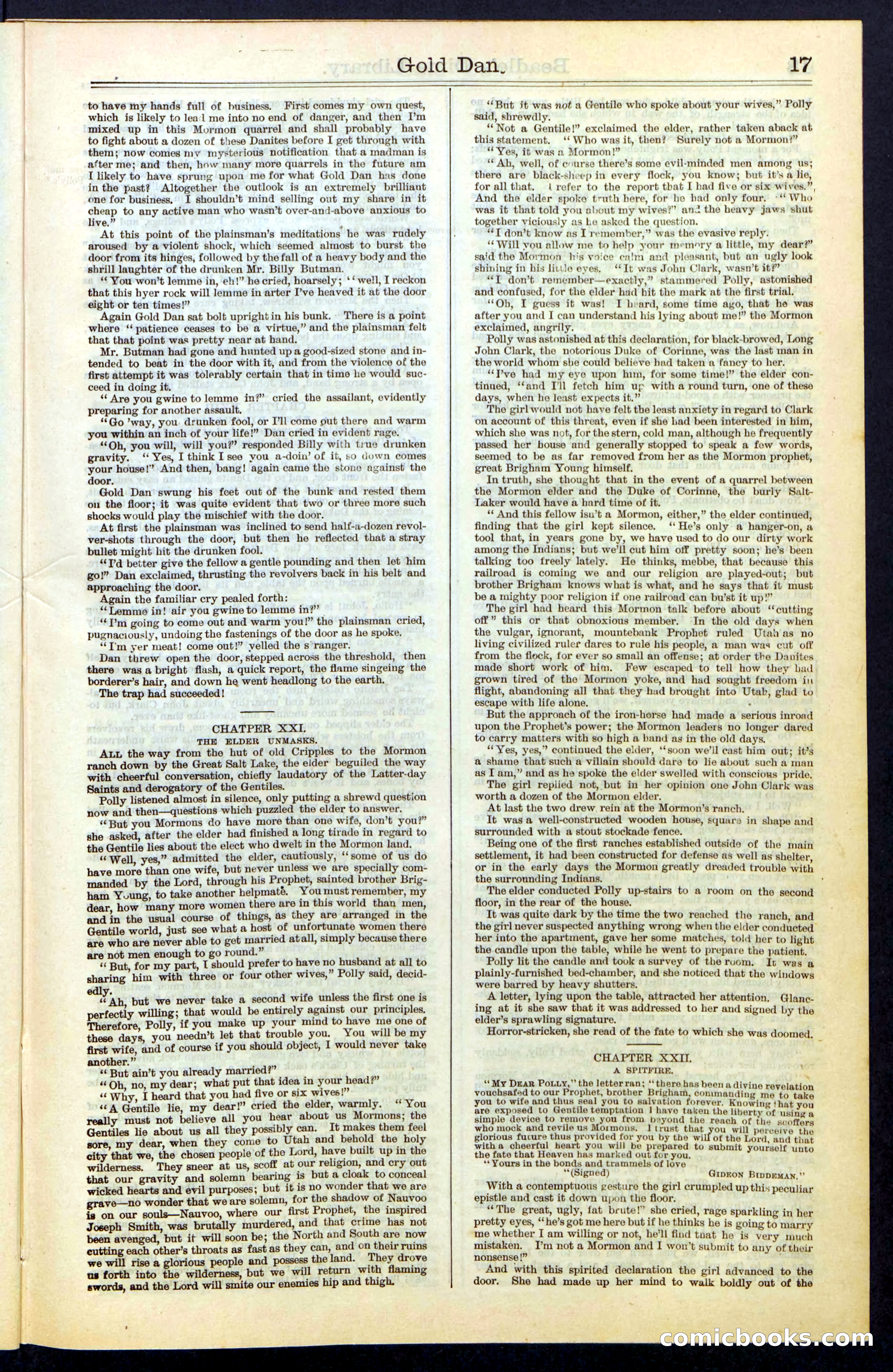 Beadle's New York Dime Library, No. 41 — page 17 of 32