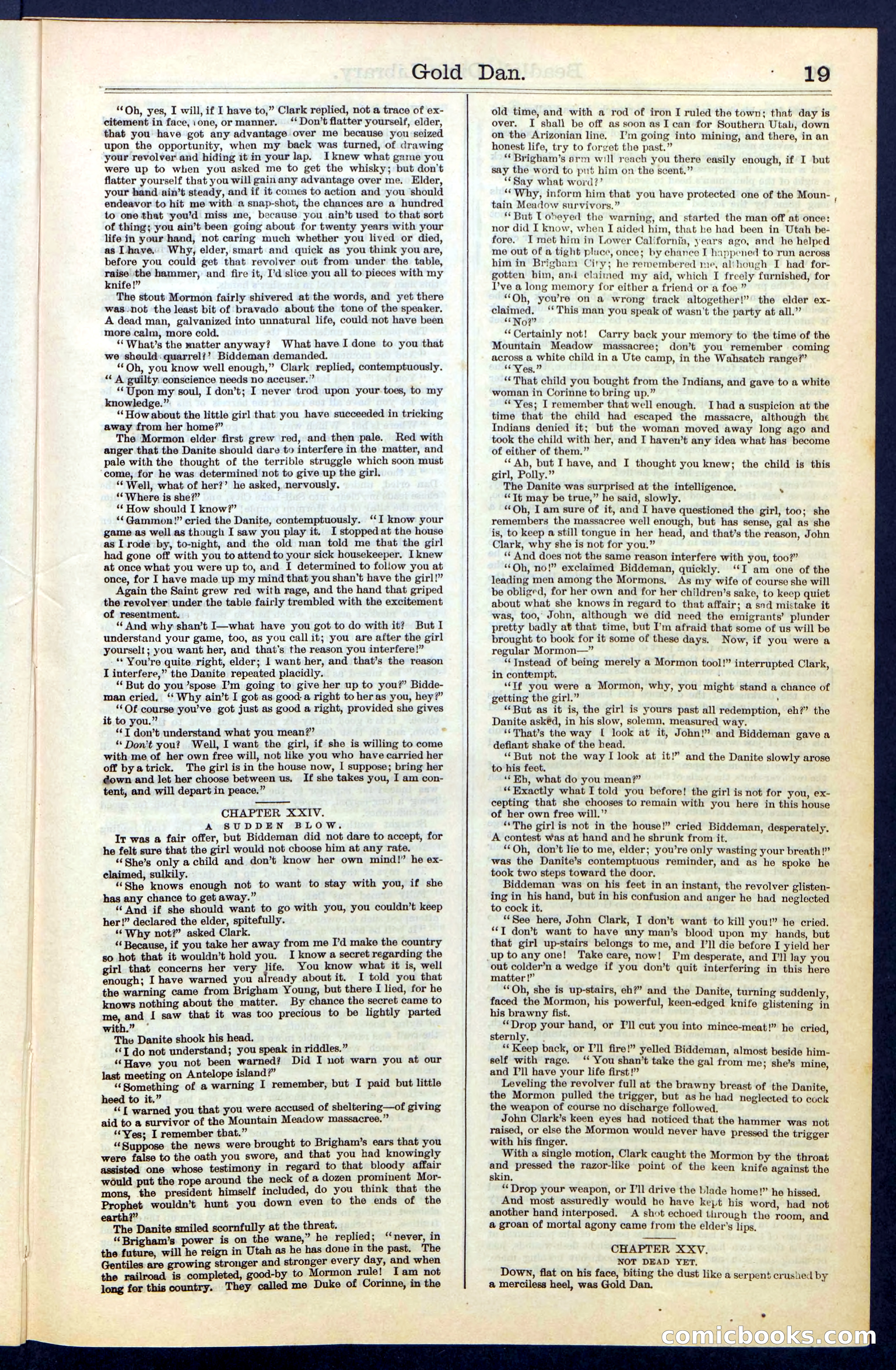 Beadle's New York Dime Library, No. 41 — page 19 of 32