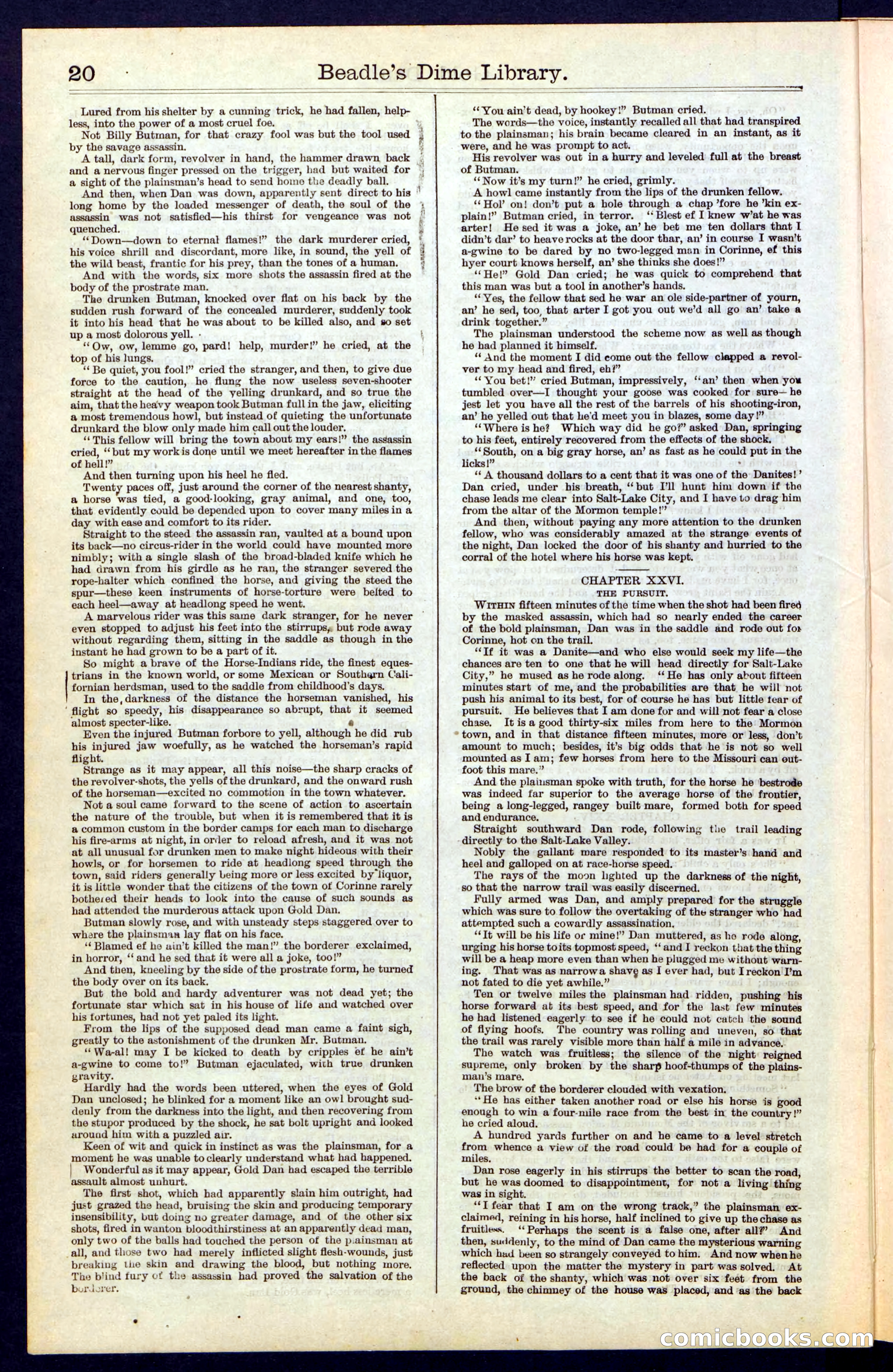 Beadle's New York Dime Library, No. 41 — page 20 of 32