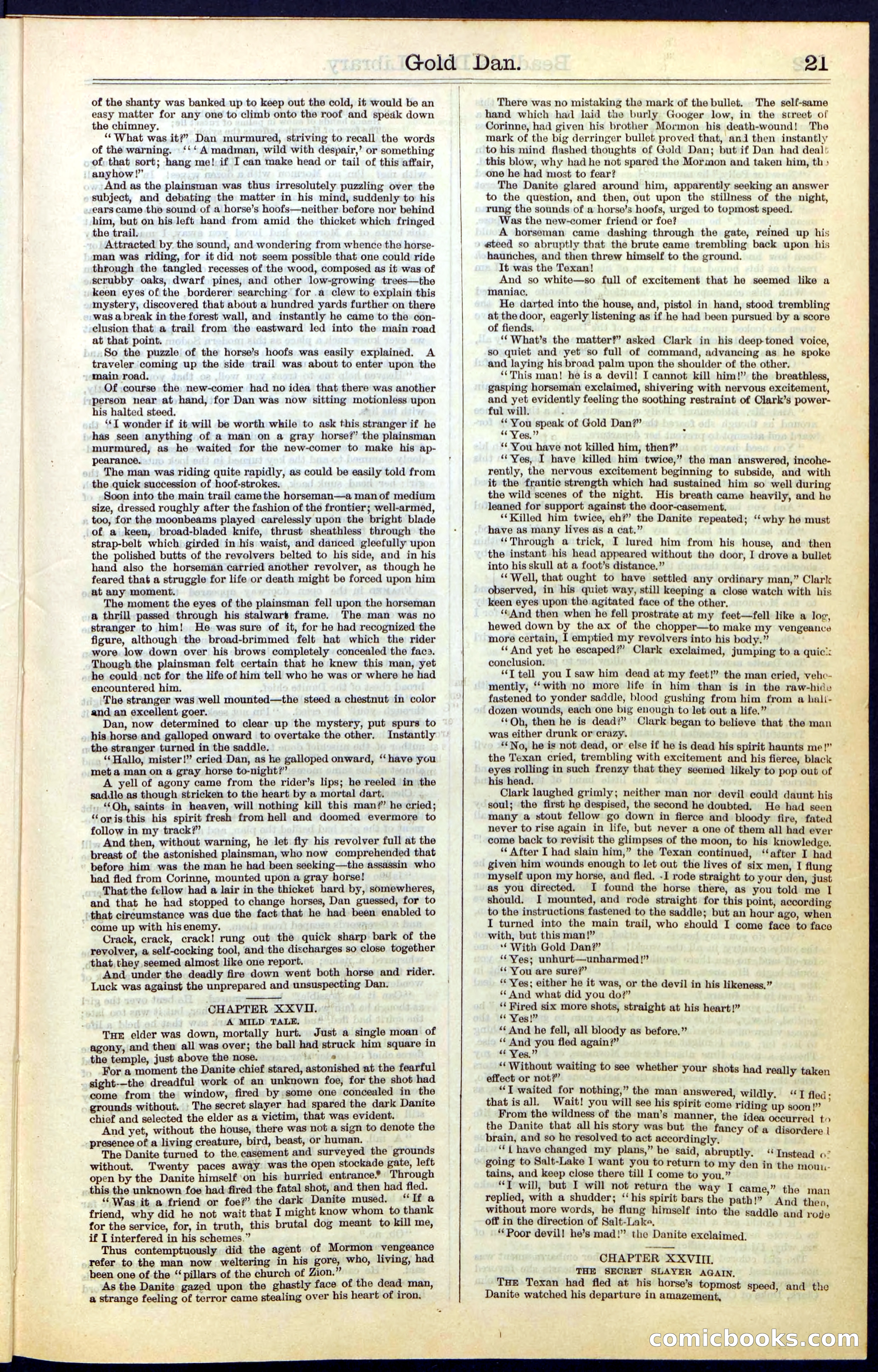 Beadle's New York Dime Library, No. 41 — page 21 of 32