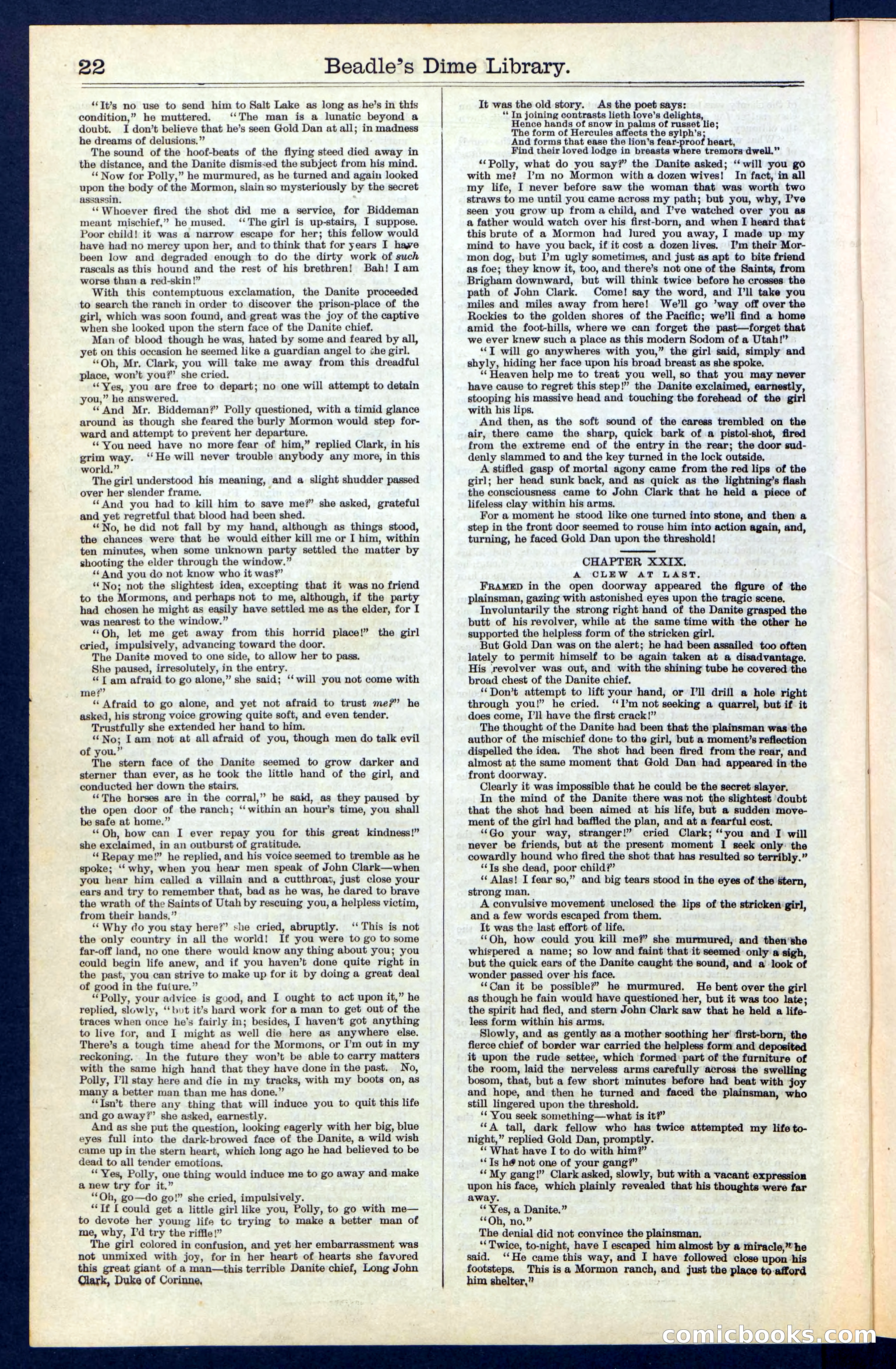 Beadle's New York Dime Library, No. 41 — page 22 of 32