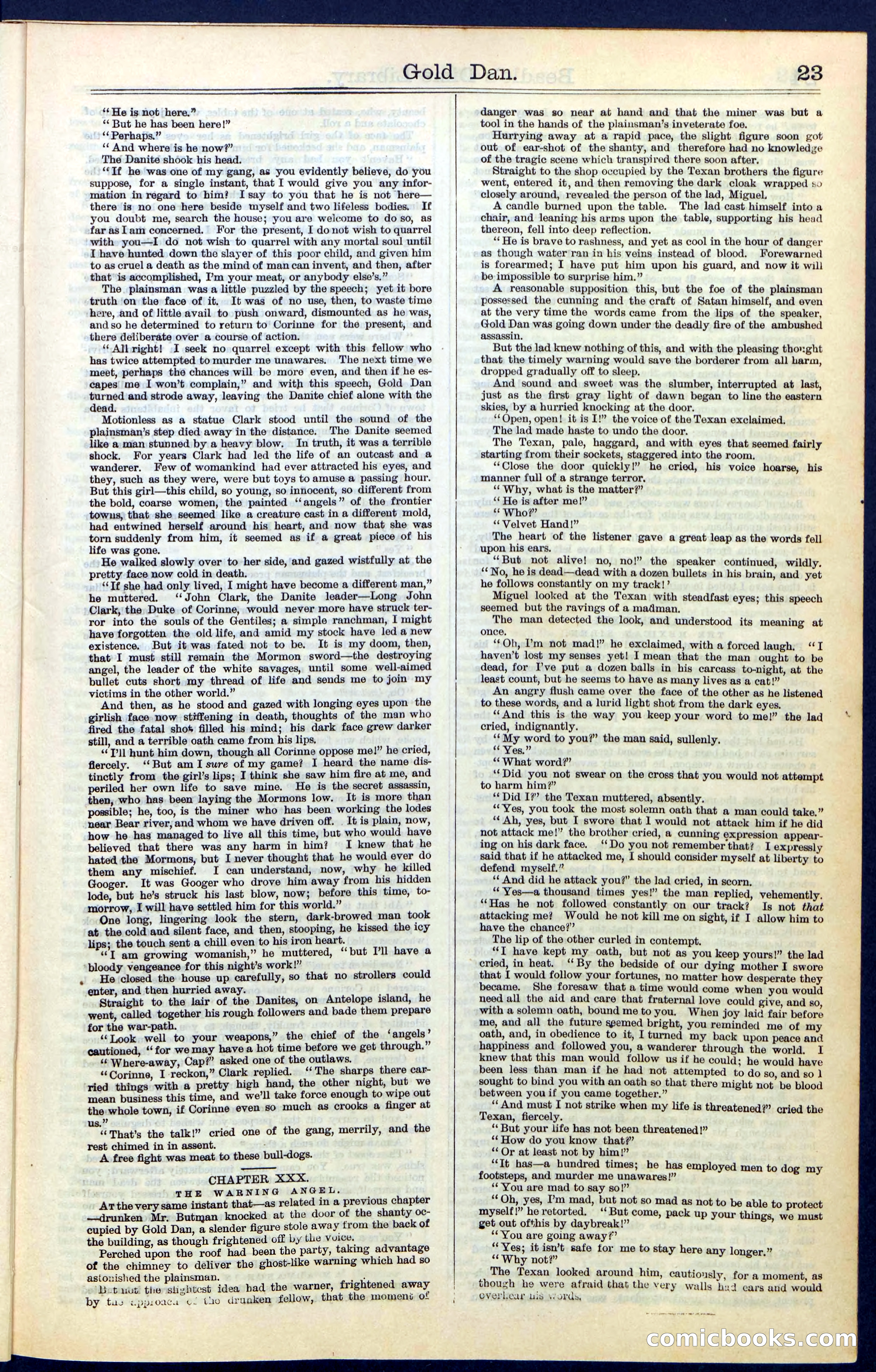 Beadle's New York Dime Library, No. 41 — page 23 of 32