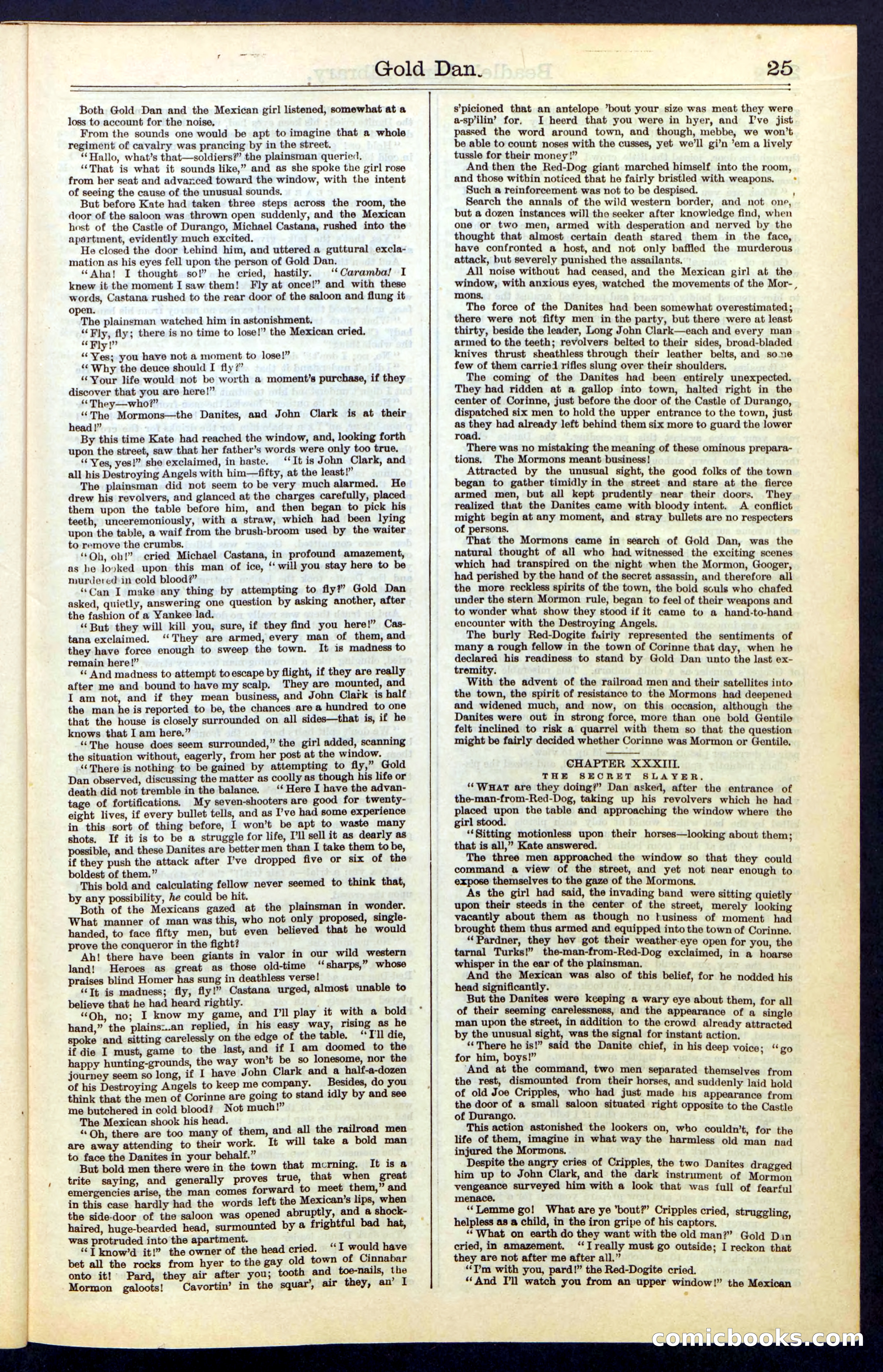Beadle's New York Dime Library, No. 41 — page 25 of 32