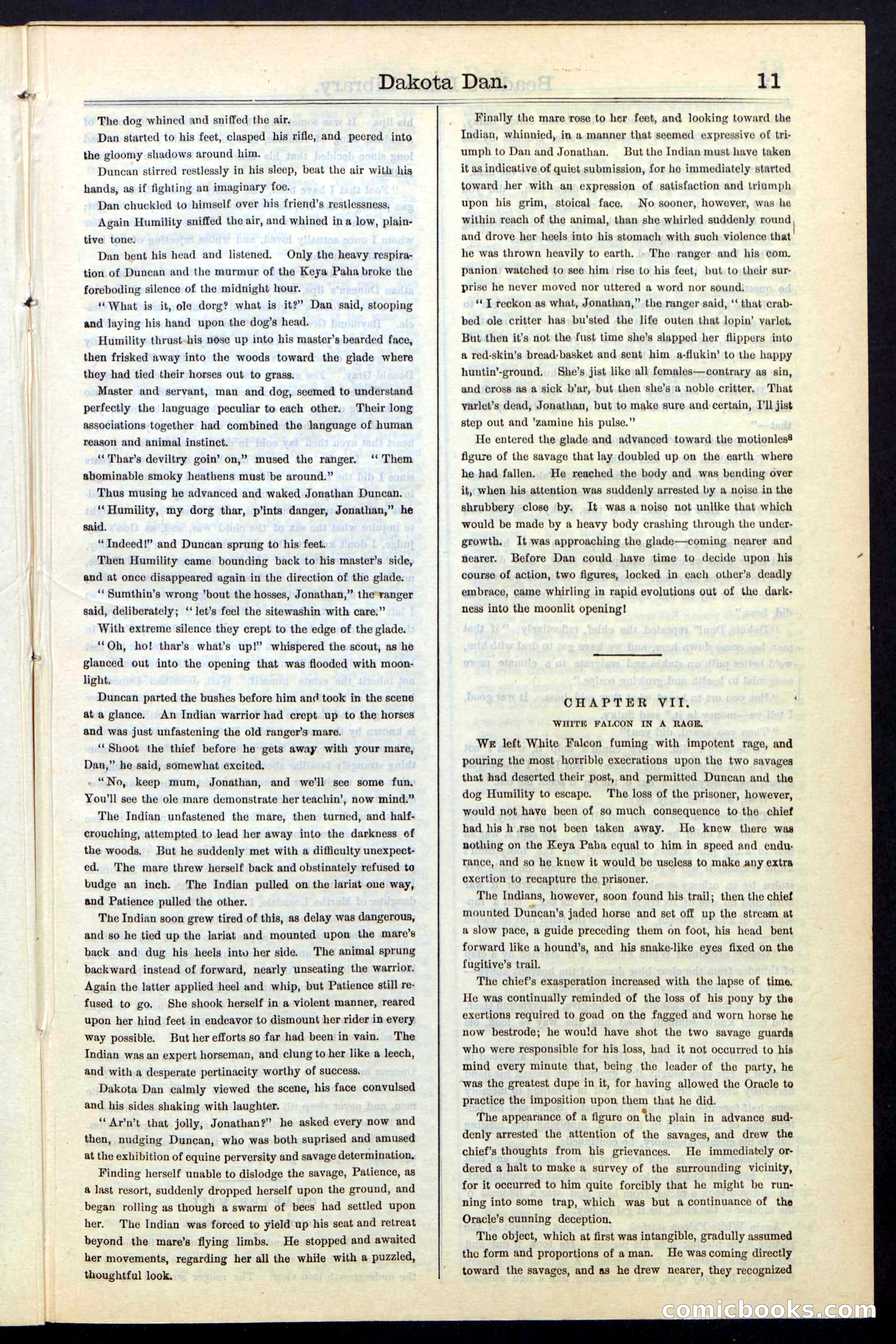 Beadle's New York Dime Library, No. 43 — page 11 of 32