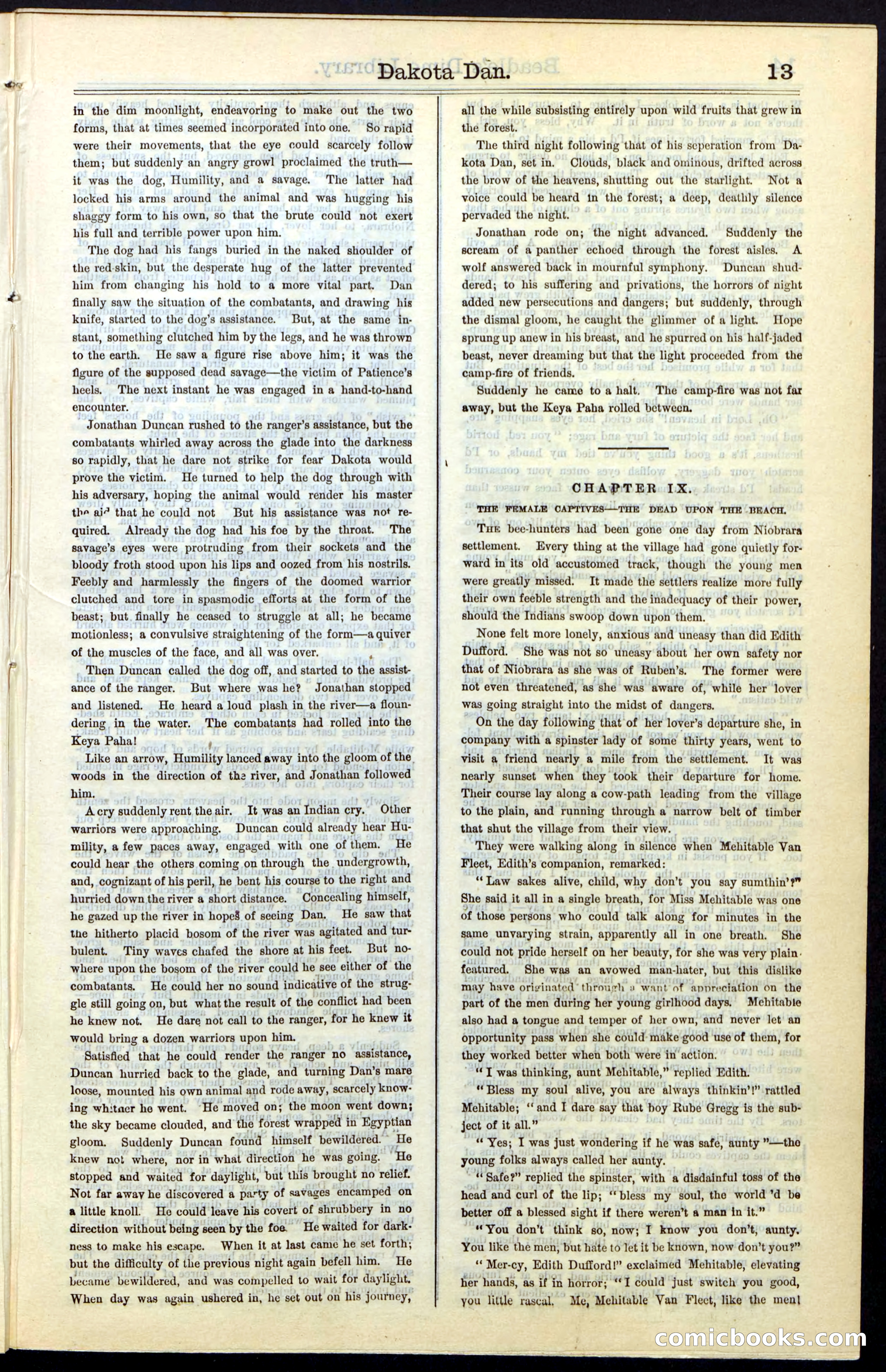 Beadle's New York Dime Library, No. 43 — page 13 of 32