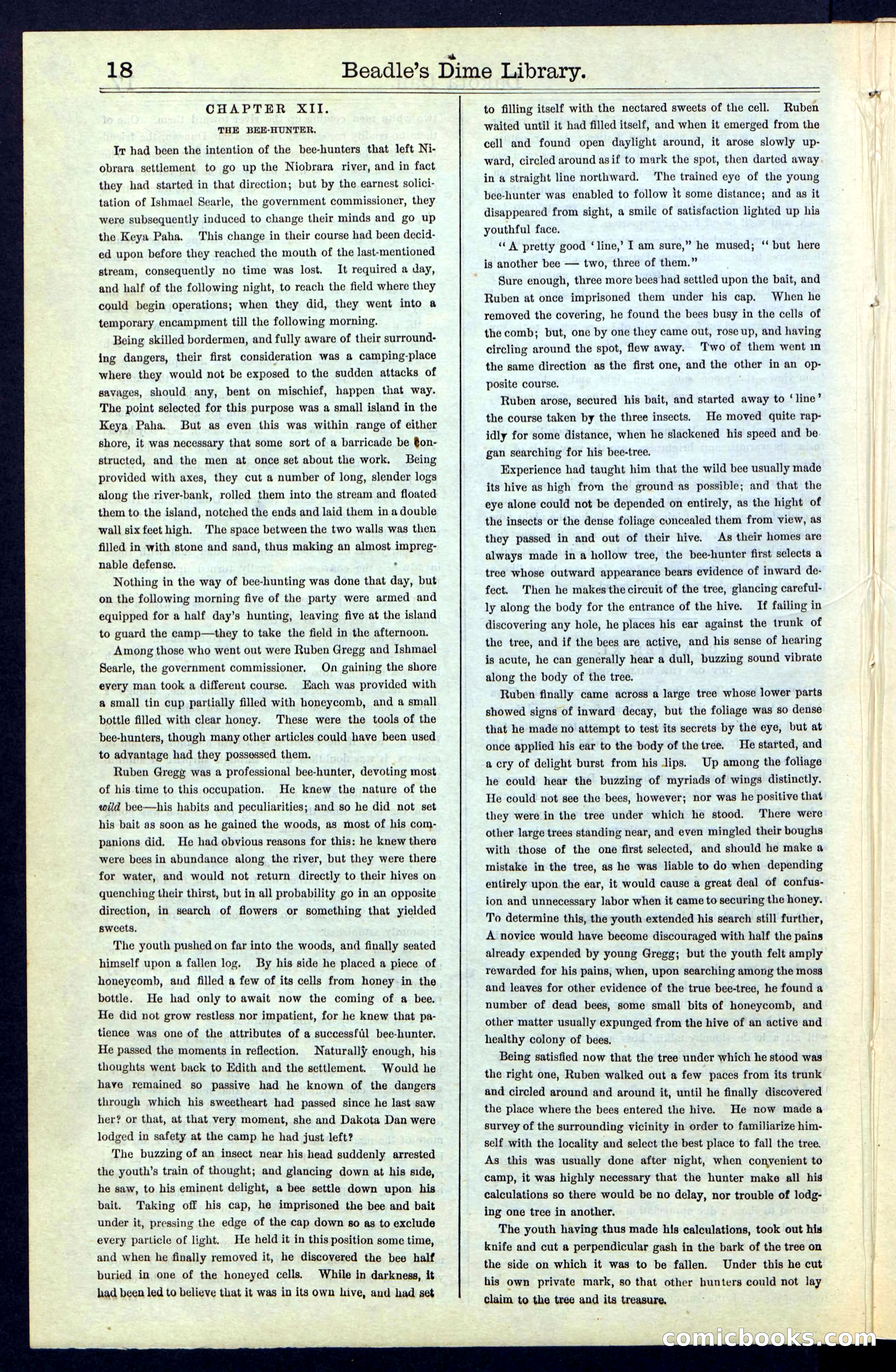Beadle's New York Dime Library, No. 43 — page 18 of 32