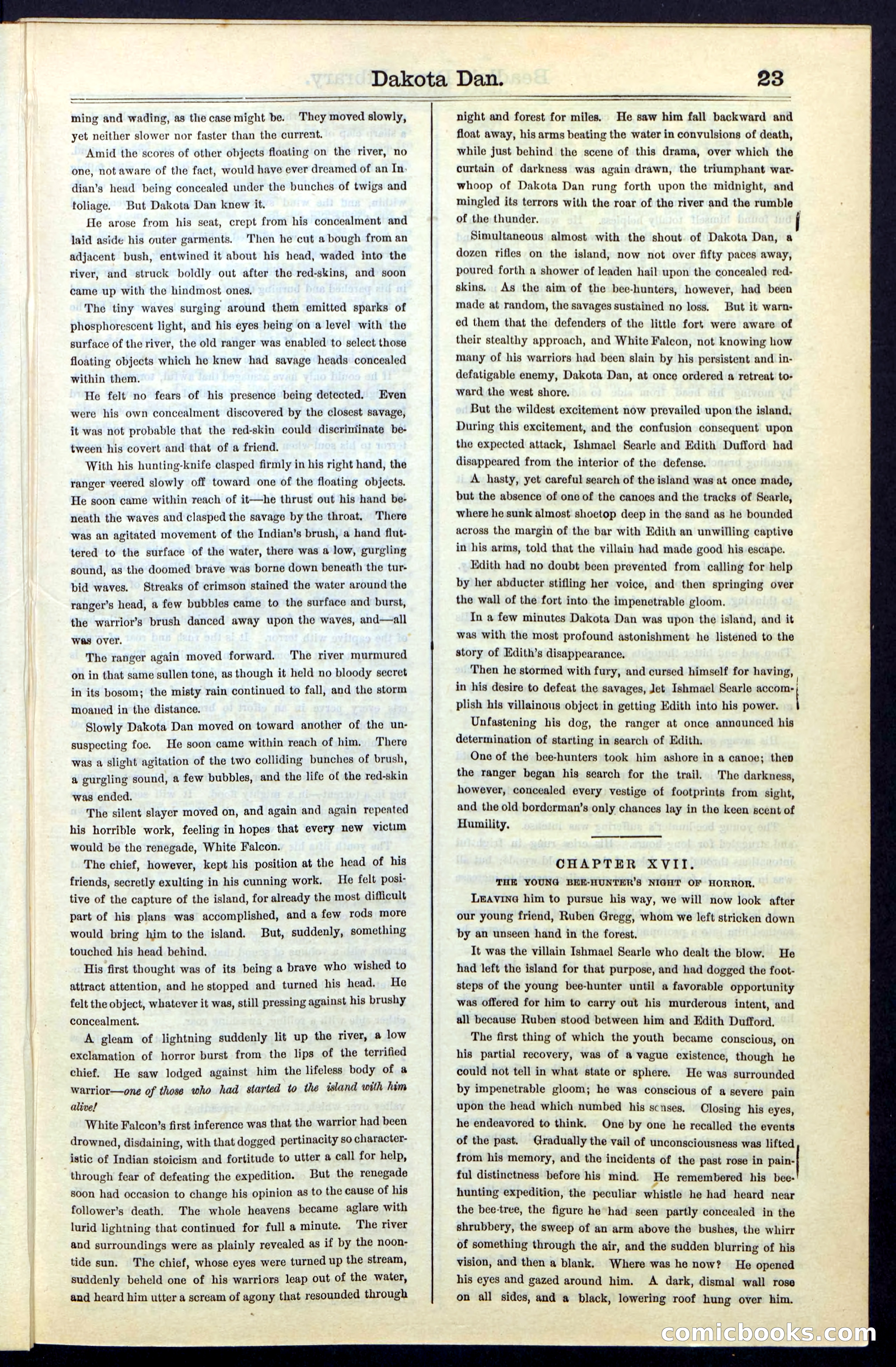 Beadle's New York Dime Library, No. 43 — page 23 of 32