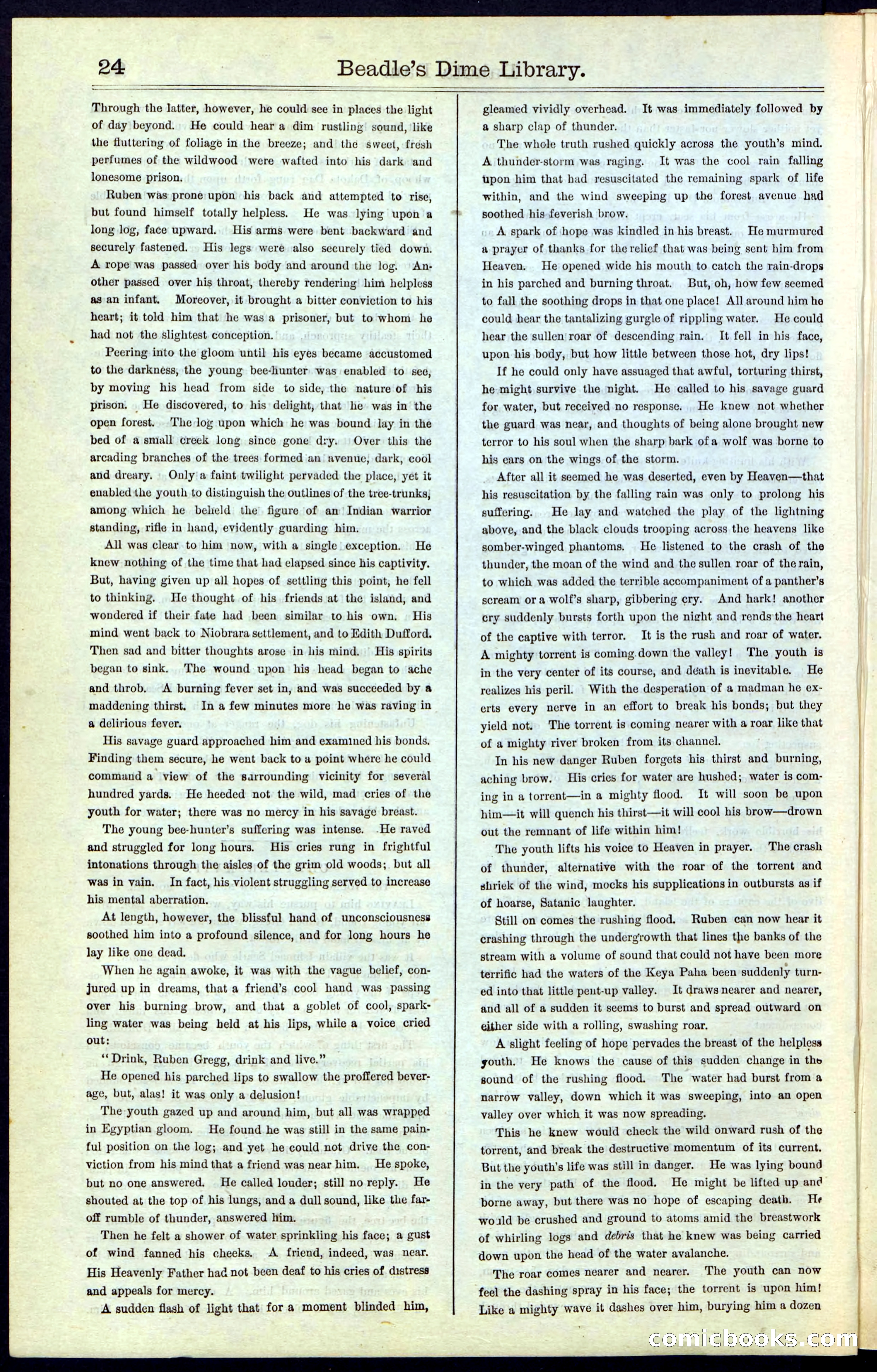 Beadle's New York Dime Library, No. 43 — page 24 of 32