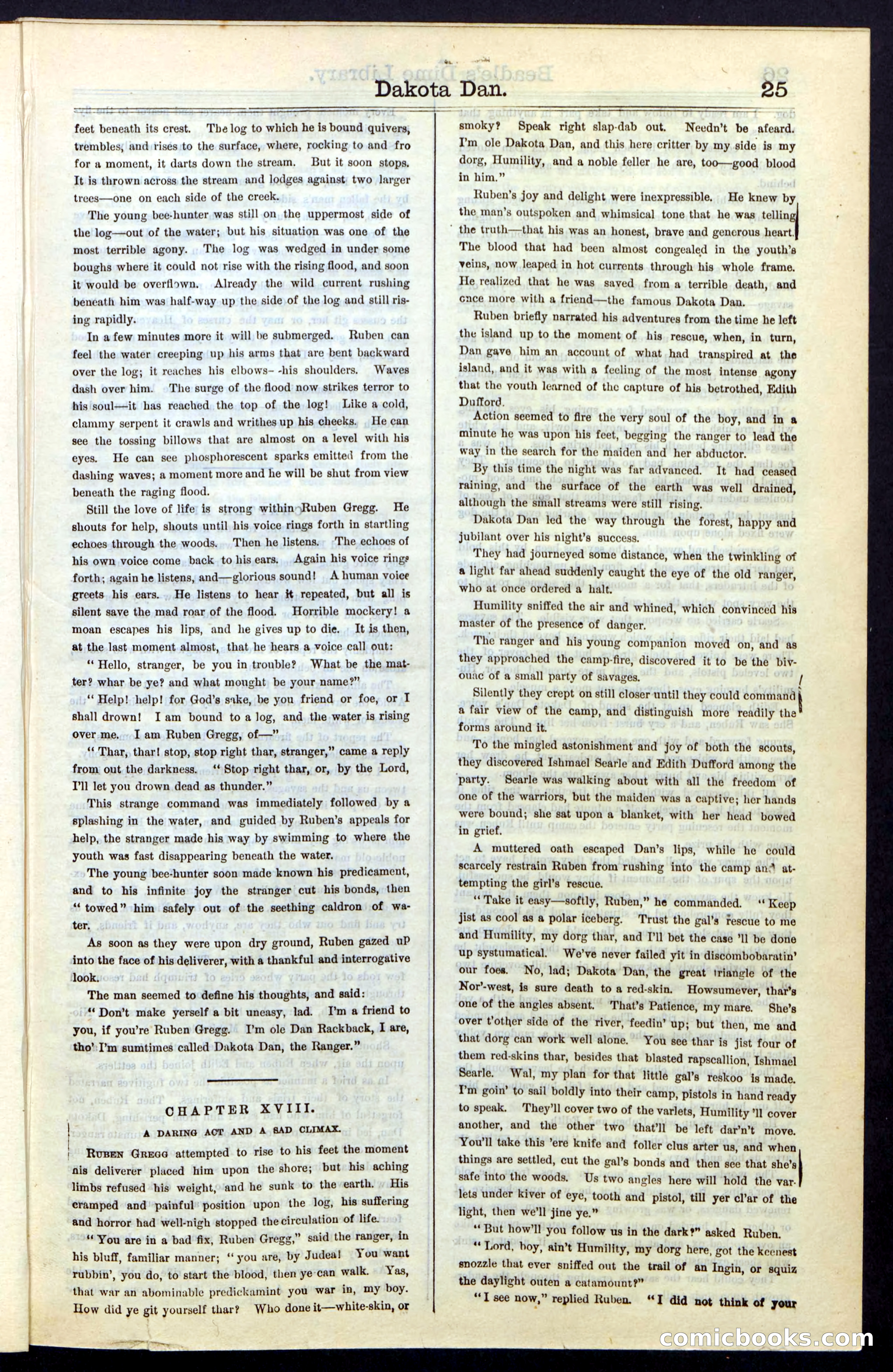 Beadle's New York Dime Library, No. 43 — page 25 of 32