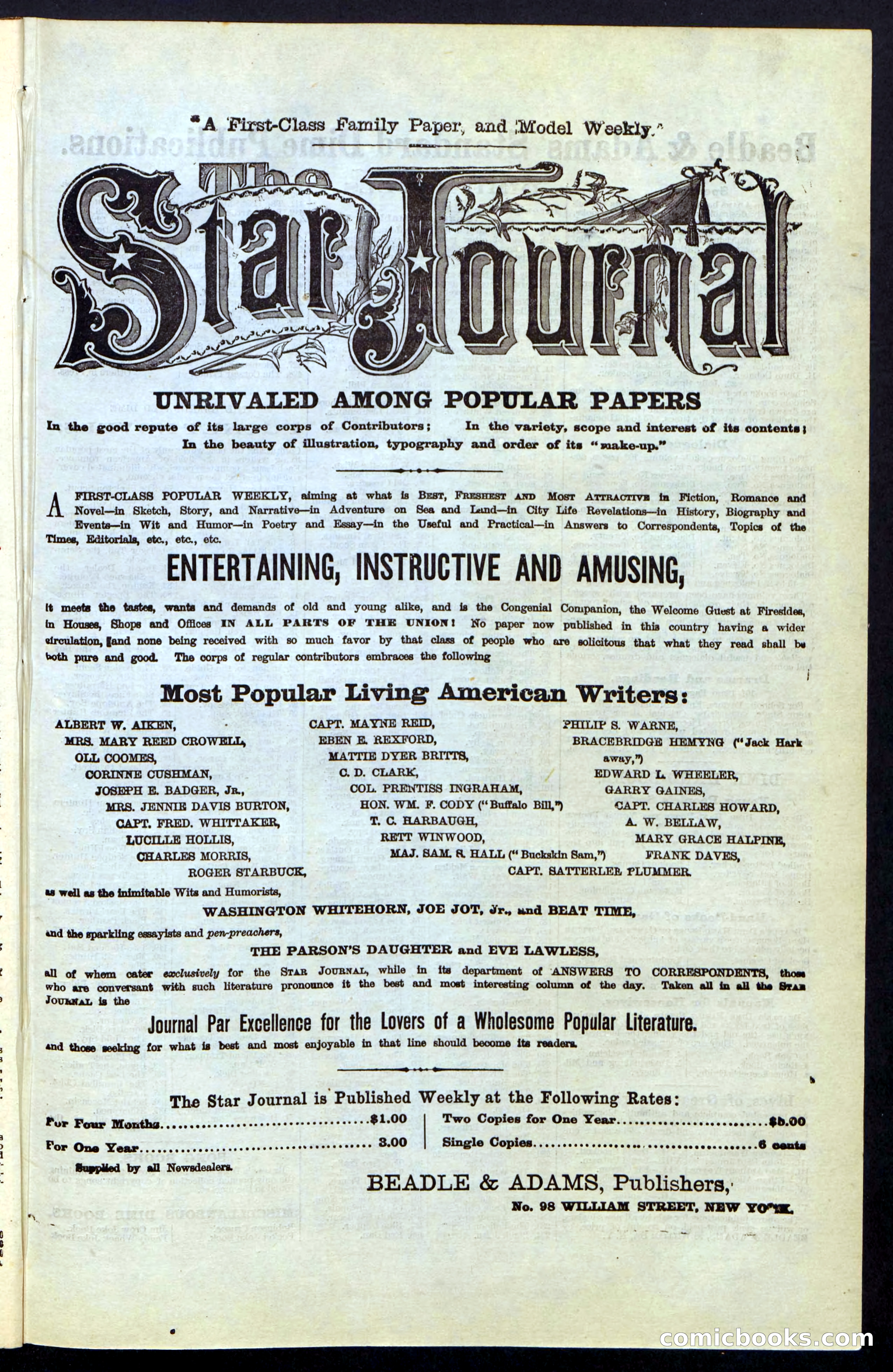 Beadle's New York Dime Library, No. 43 — page 29 of 32