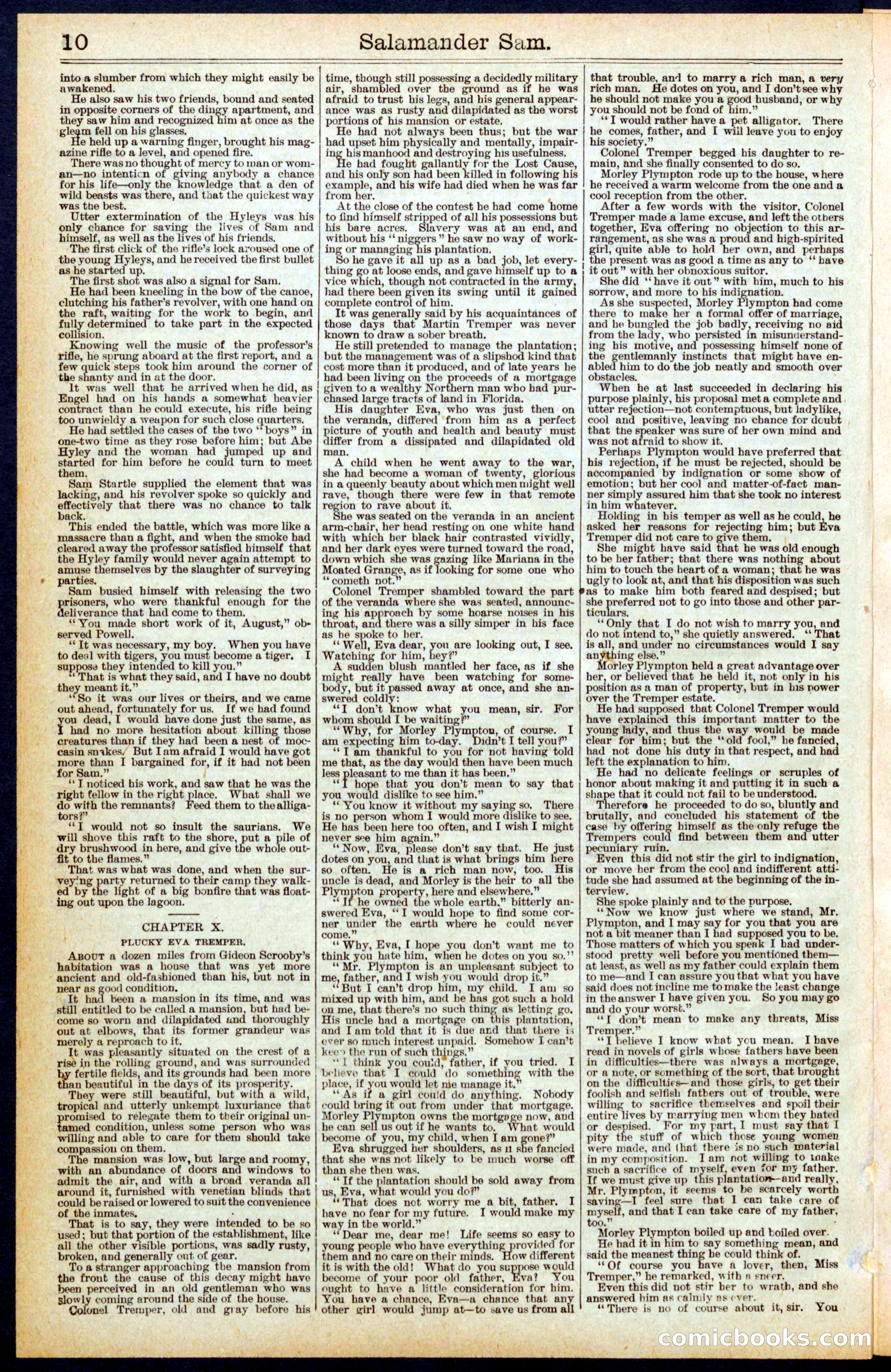 Beadle's New York Dime Library No. 439 — page 10 of 32