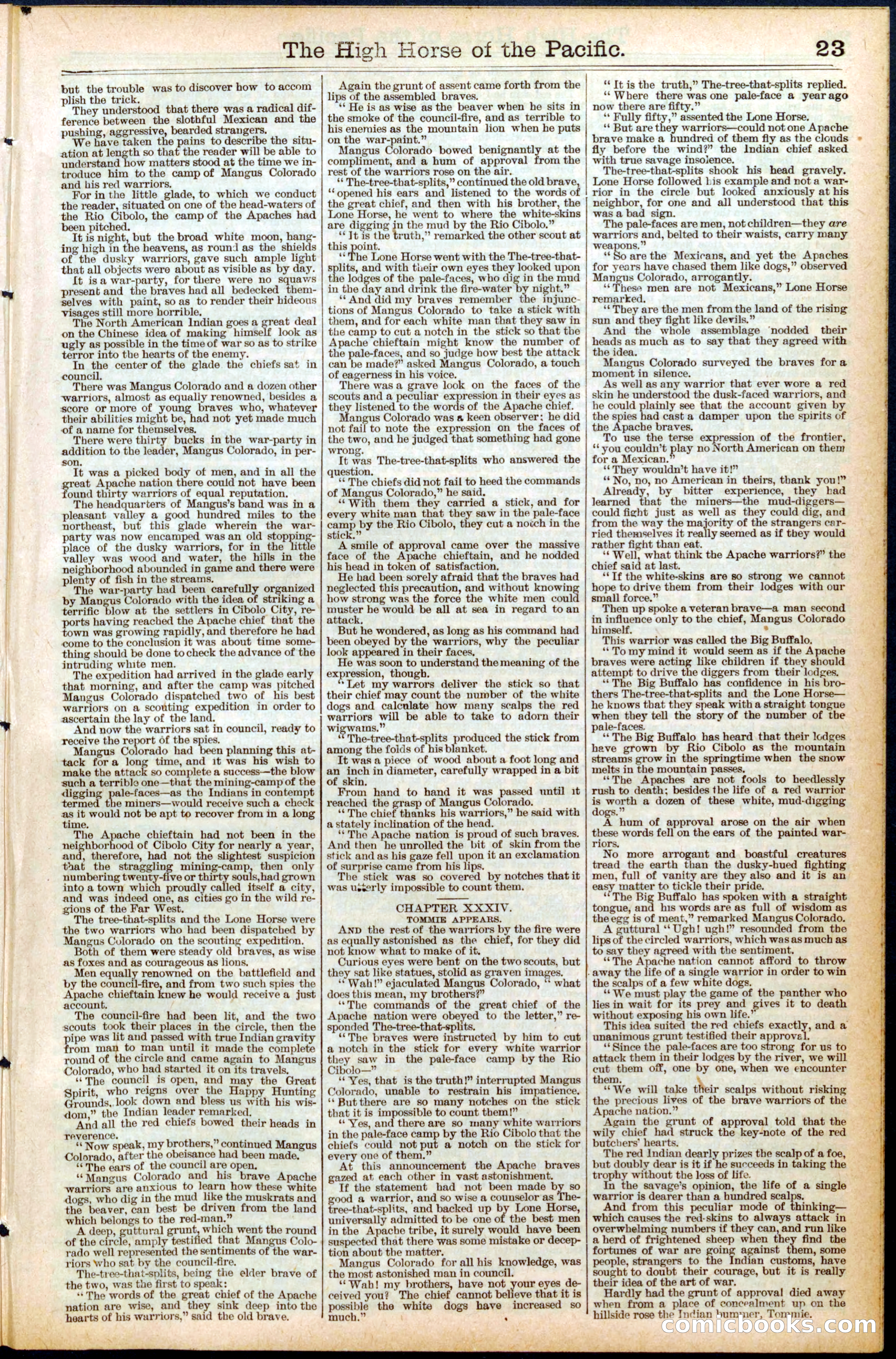 Beadle's Dime Library No. 440 — page 23 of 32