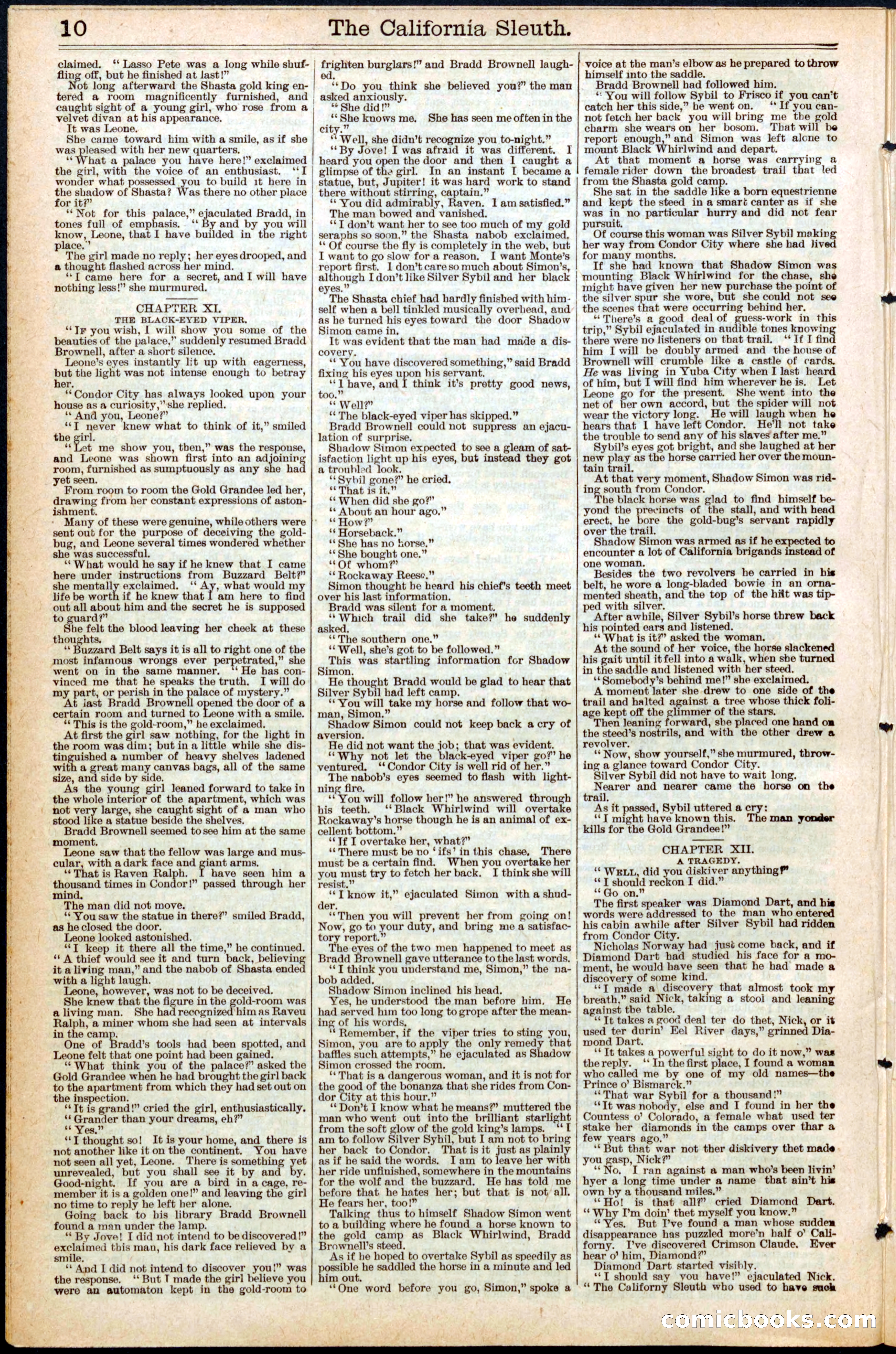 Beadle's New York Dime Library No. 441 — page 10 of 32