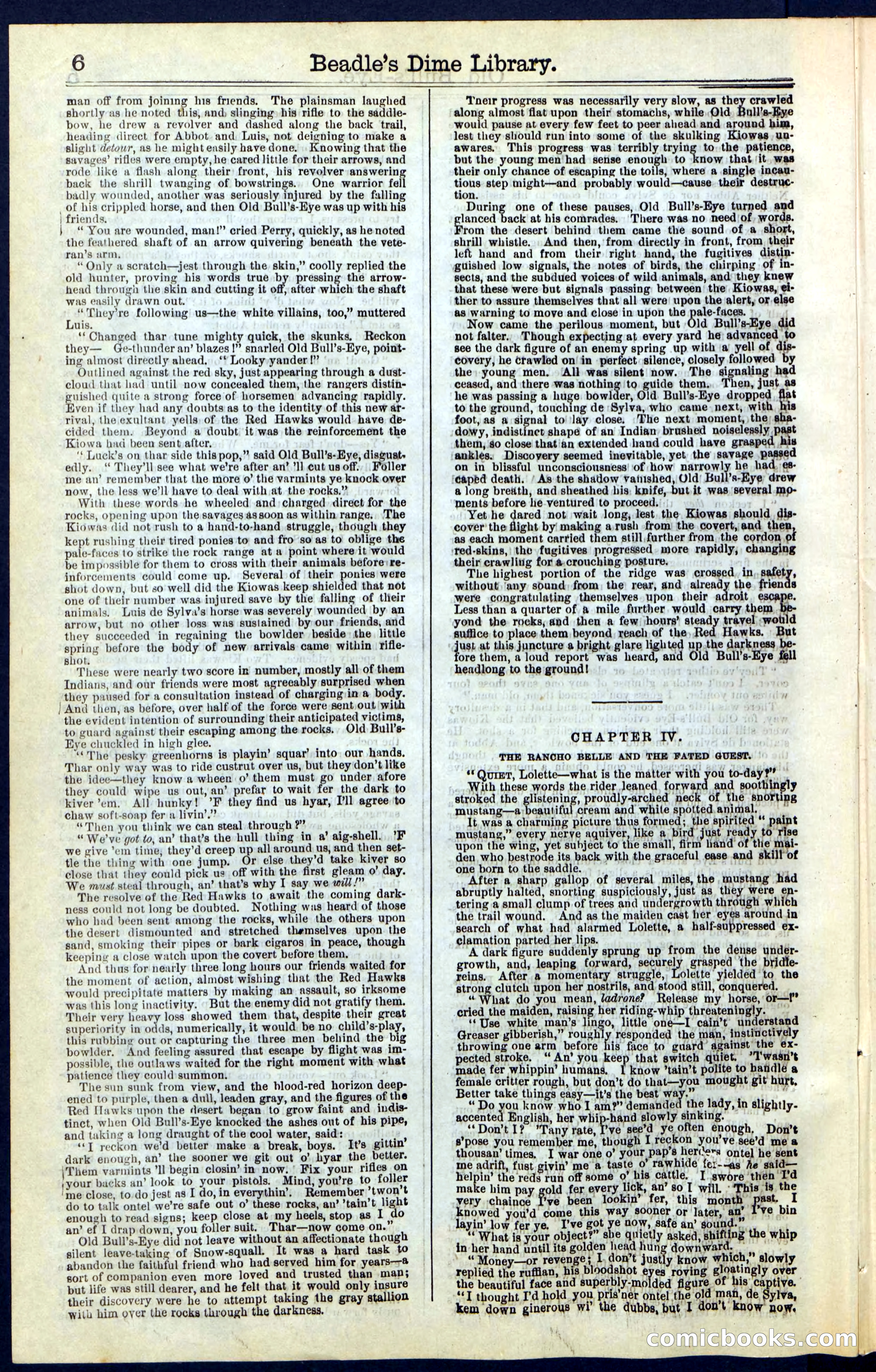 Beadle's Dime Library, Vol. IV, No. 45 — page 6 of 32
