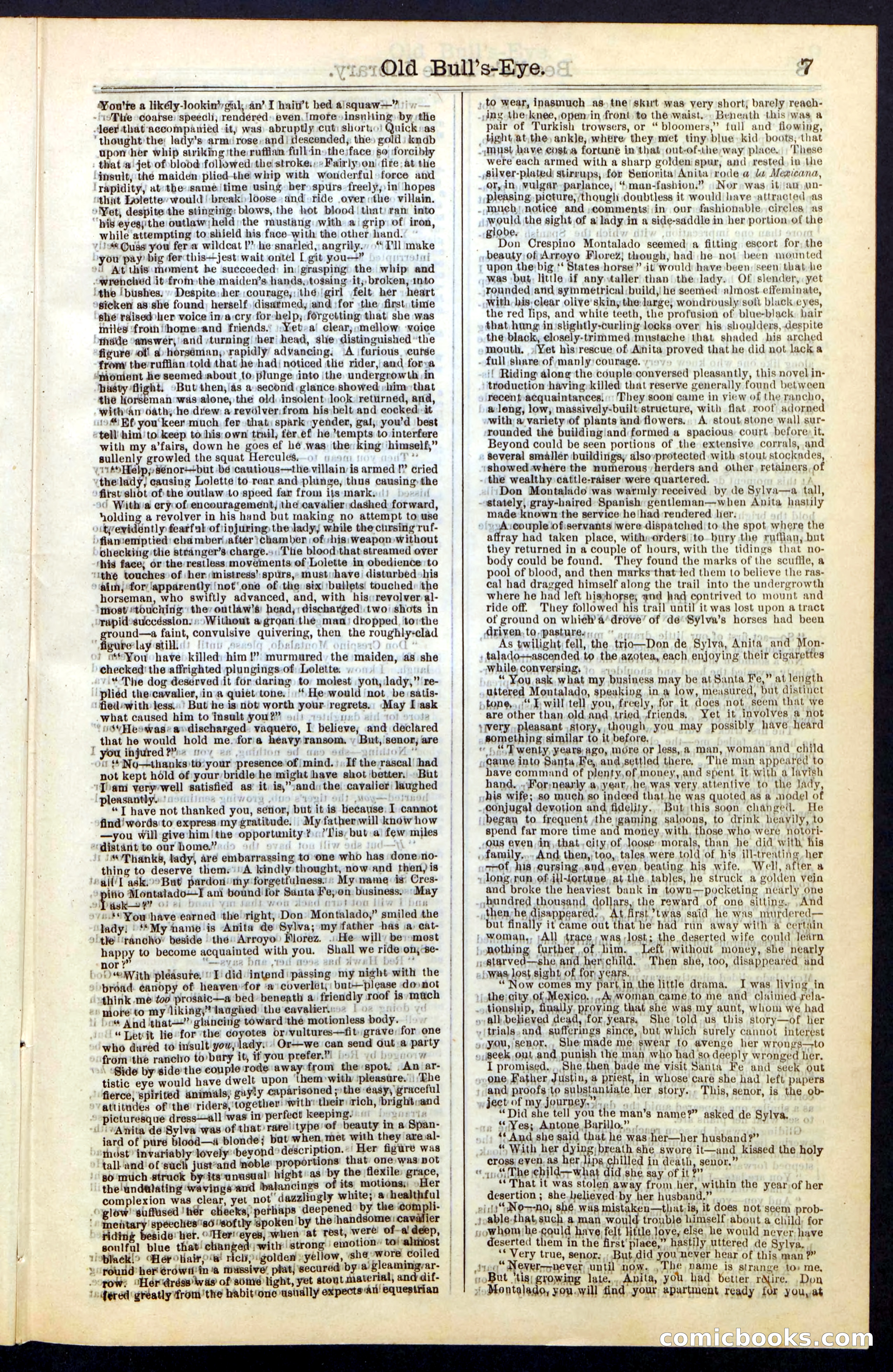 Beadle's Dime Library, Vol. IV, No. 45 — page 7 of 32