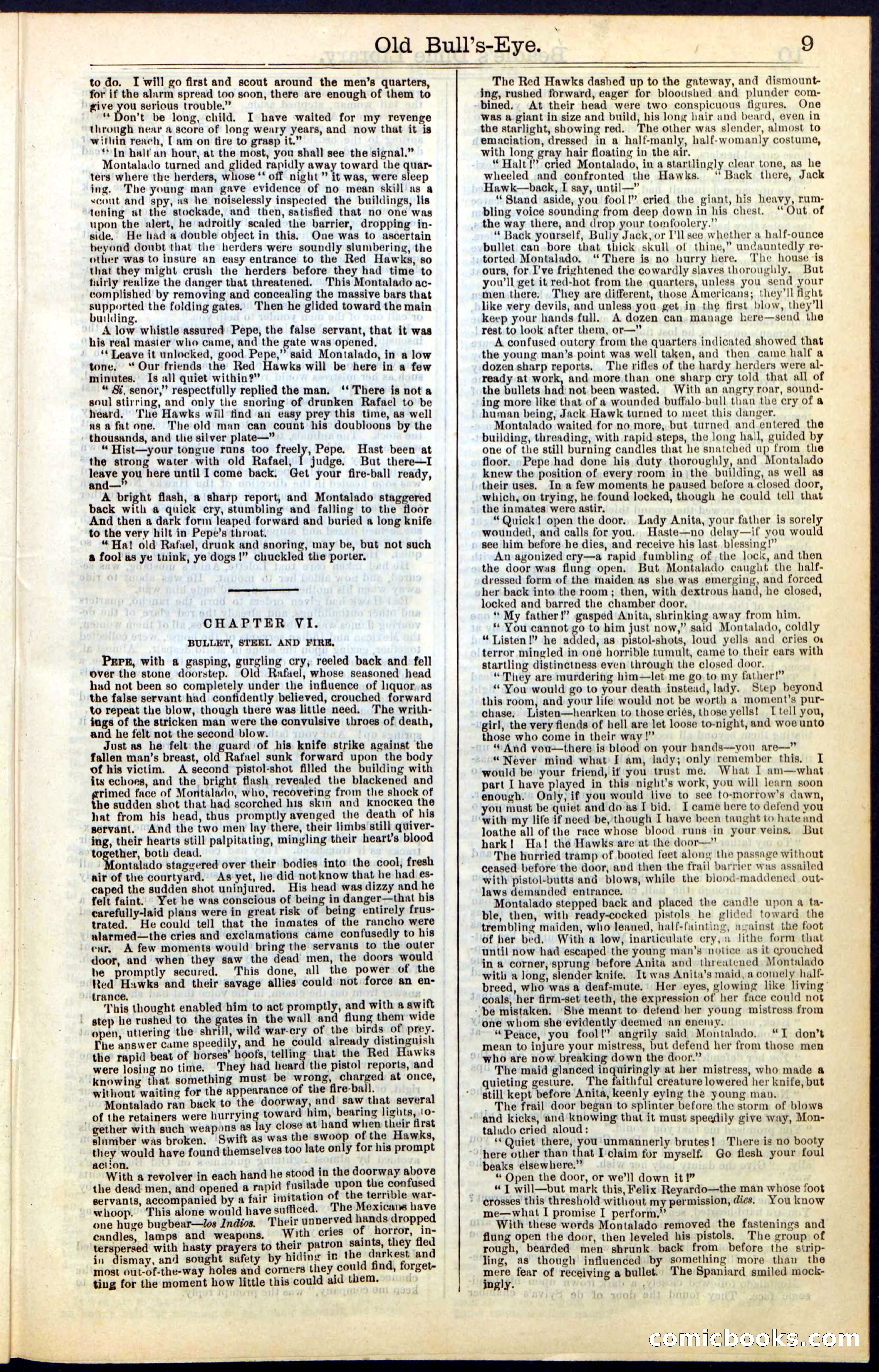 Beadle's Dime Library, Vol. IV, No. 45 — page 9 of 32