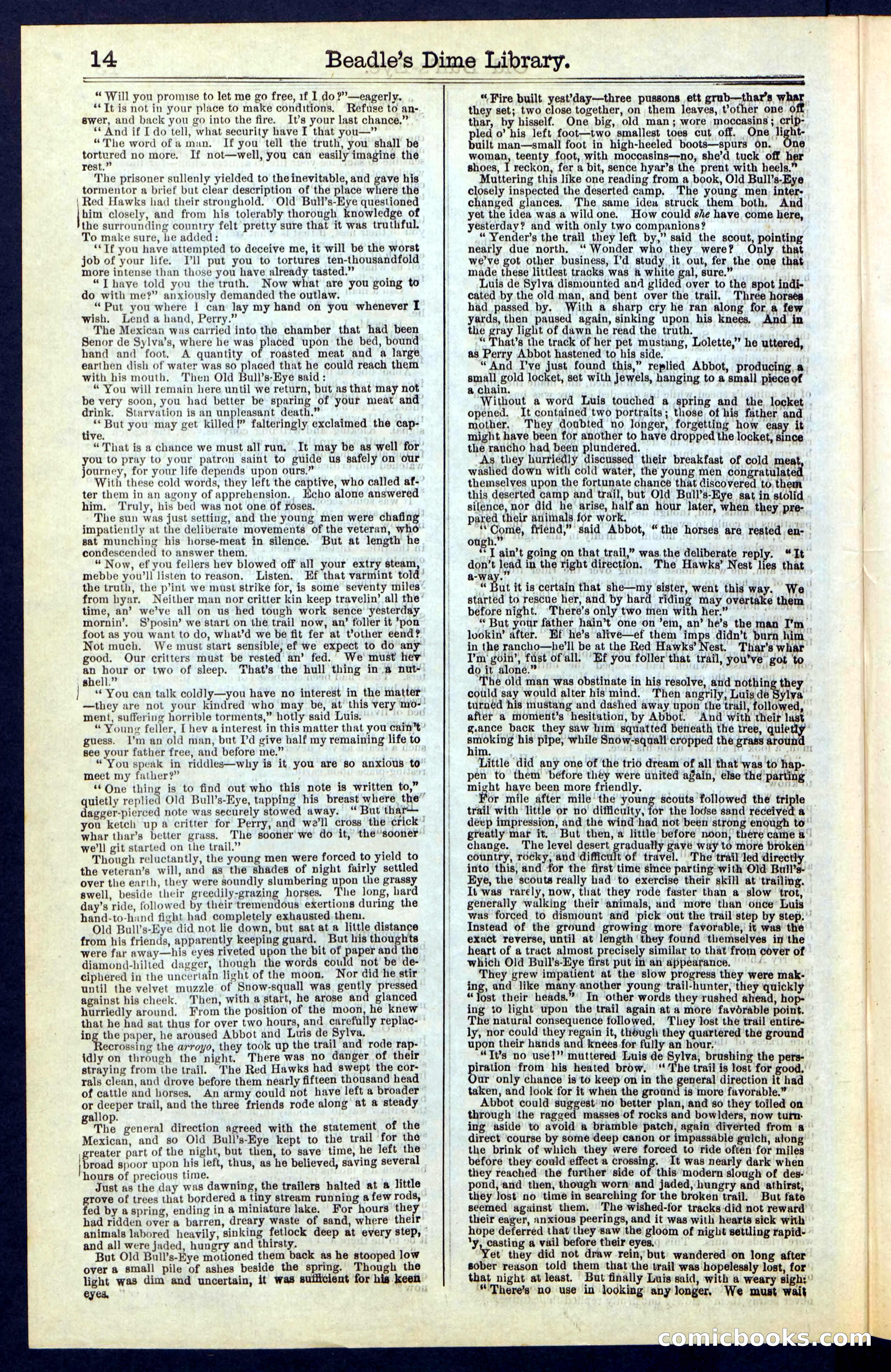 Beadle's Dime Library, Vol. IV, No. 45 — page 14 of 32