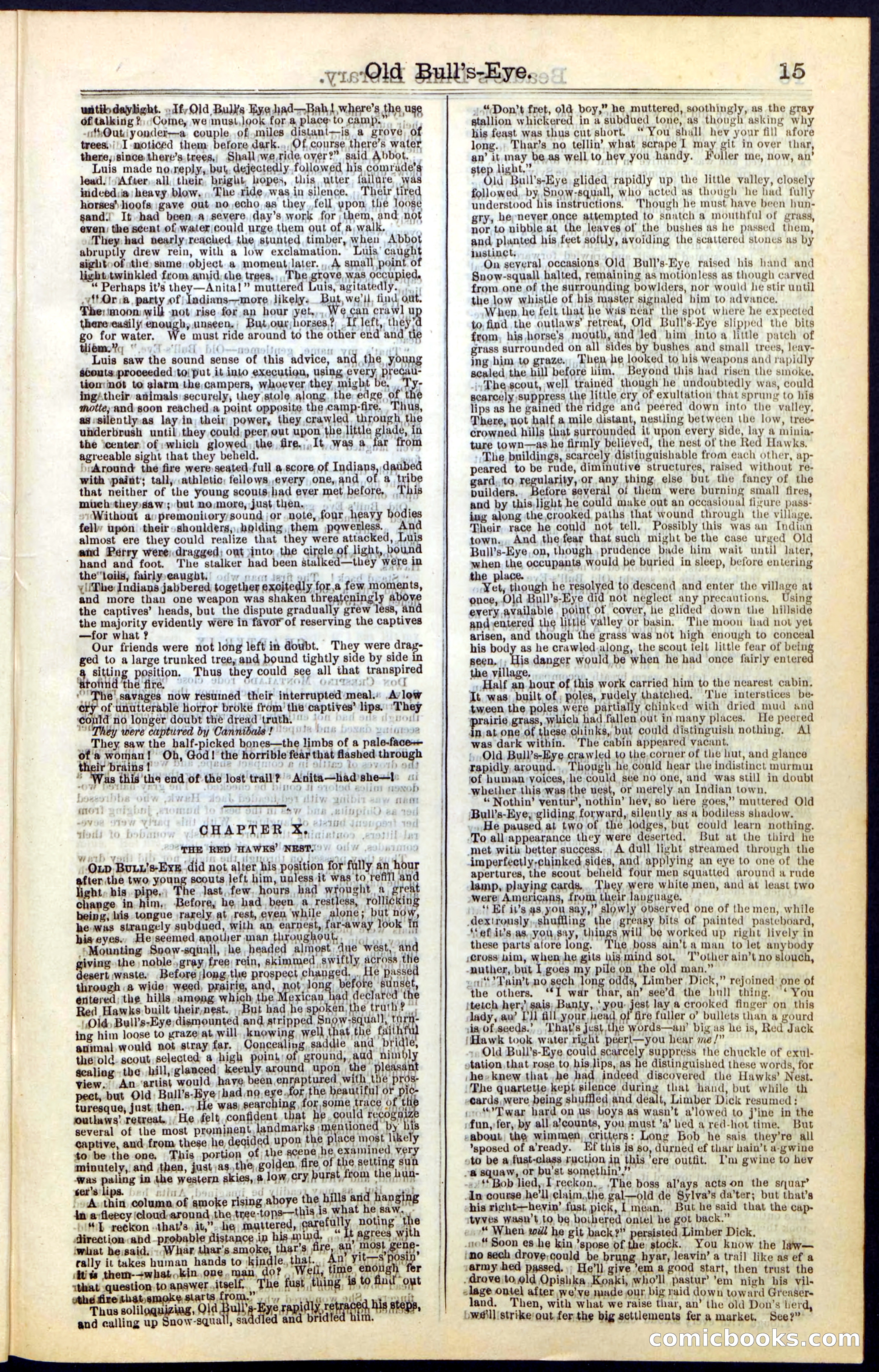 Beadle's Dime Library, Vol. IV, No. 45 — page 15 of 32