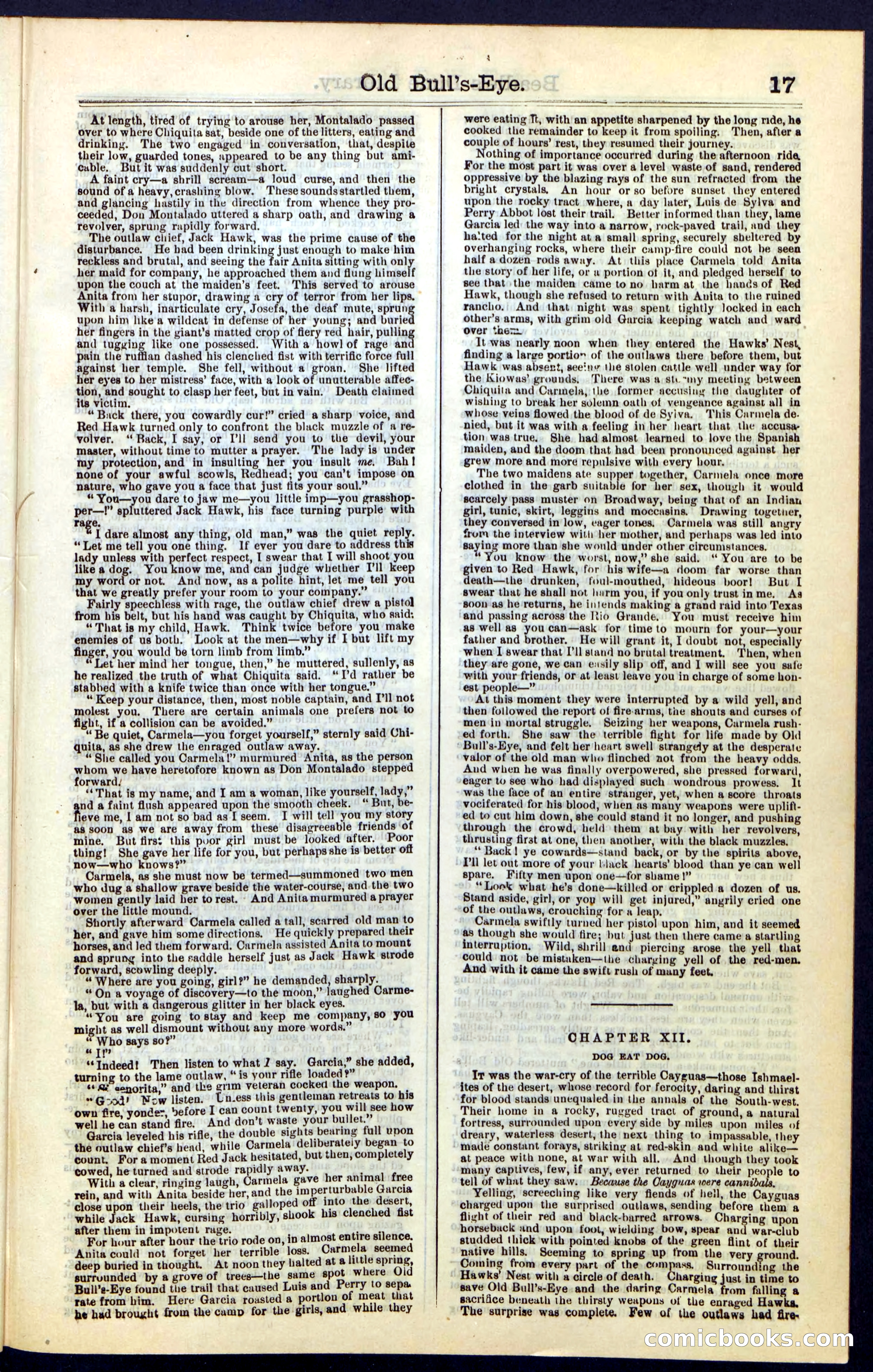 Beadle's Dime Library, Vol. IV, No. 45 — page 17 of 32
