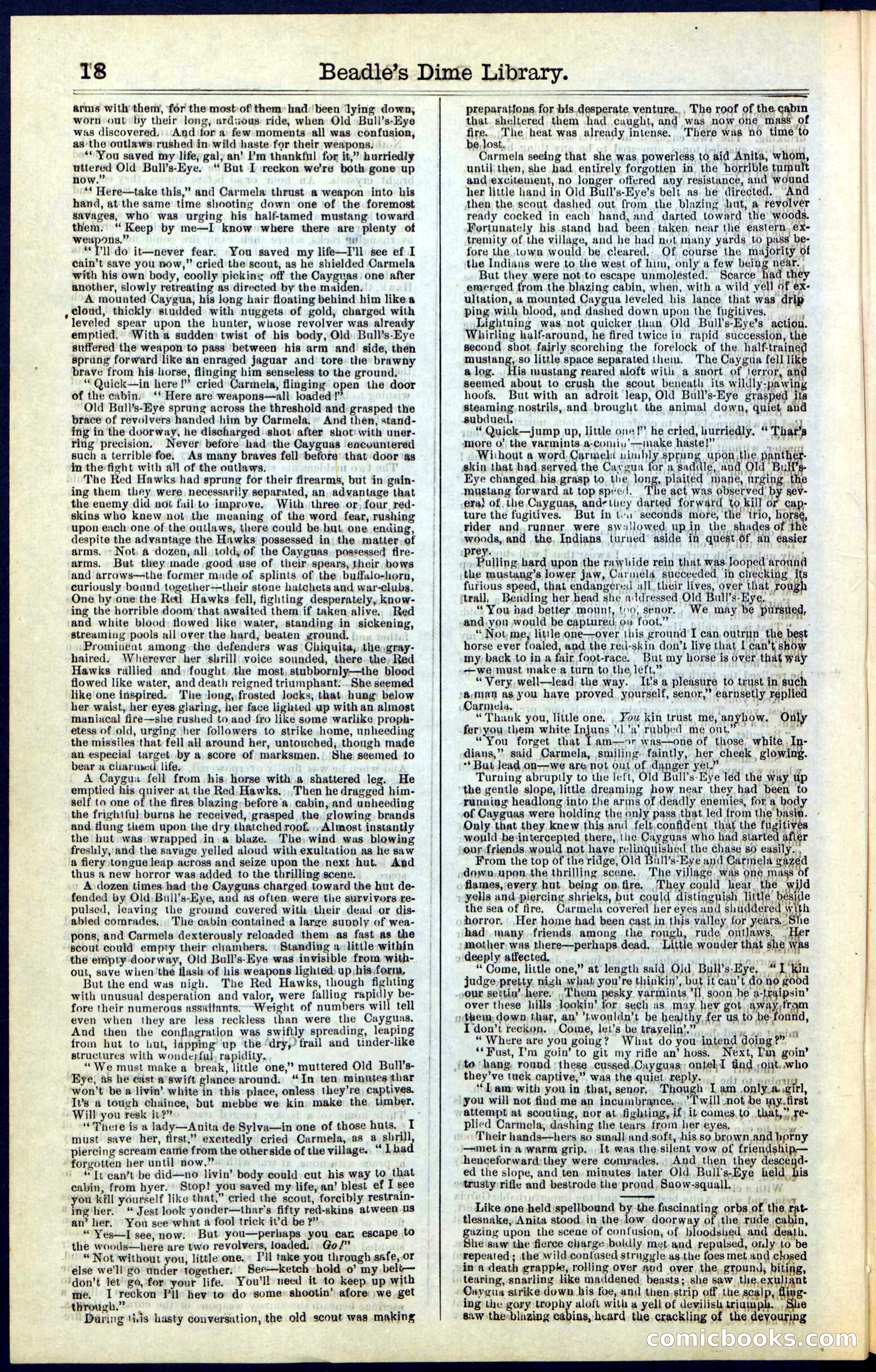 Beadle's Dime Library, Vol. IV, No. 45 — page 18 of 32