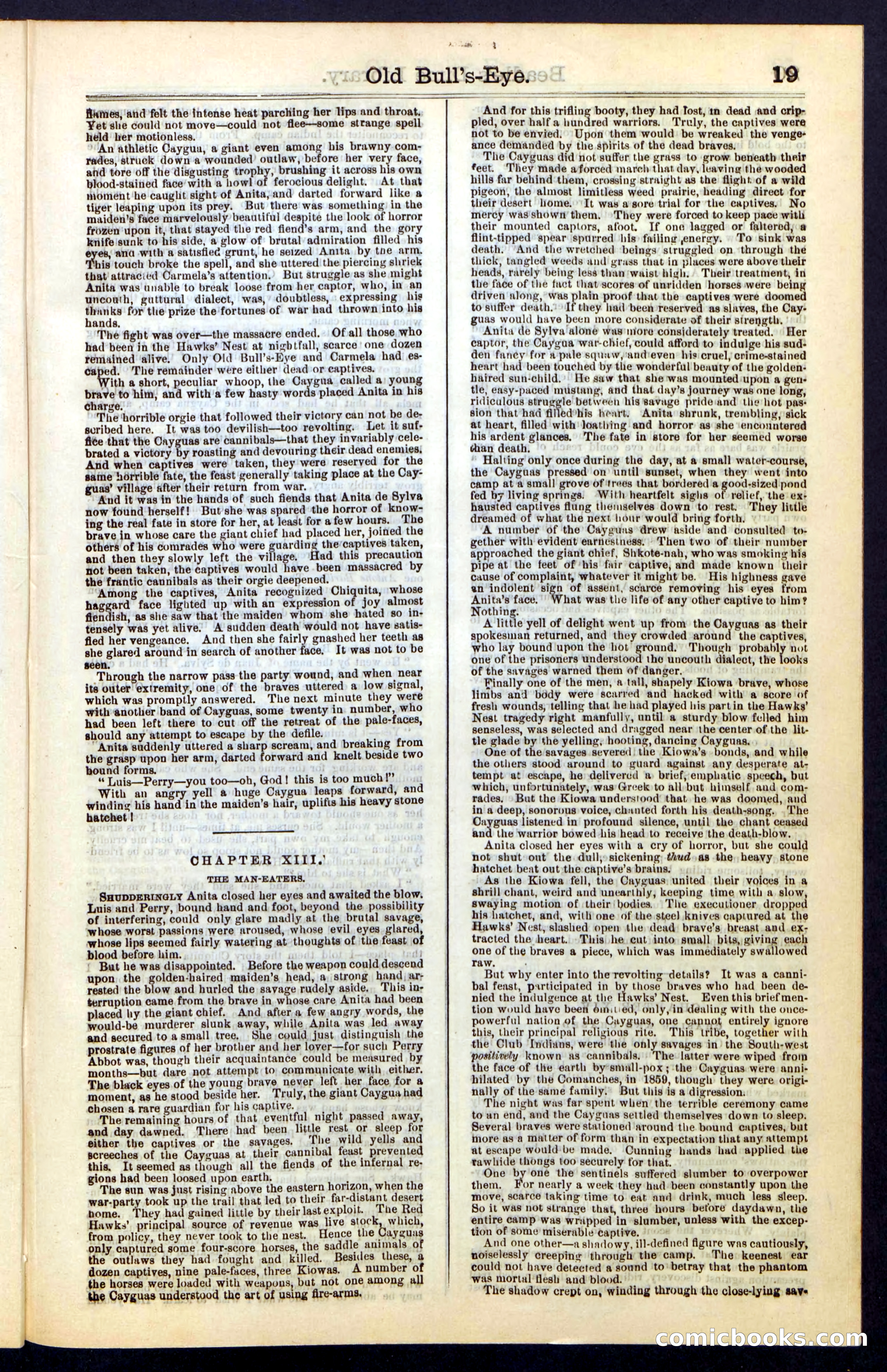 Beadle's Dime Library, Vol. IV, No. 45 — page 19 of 32