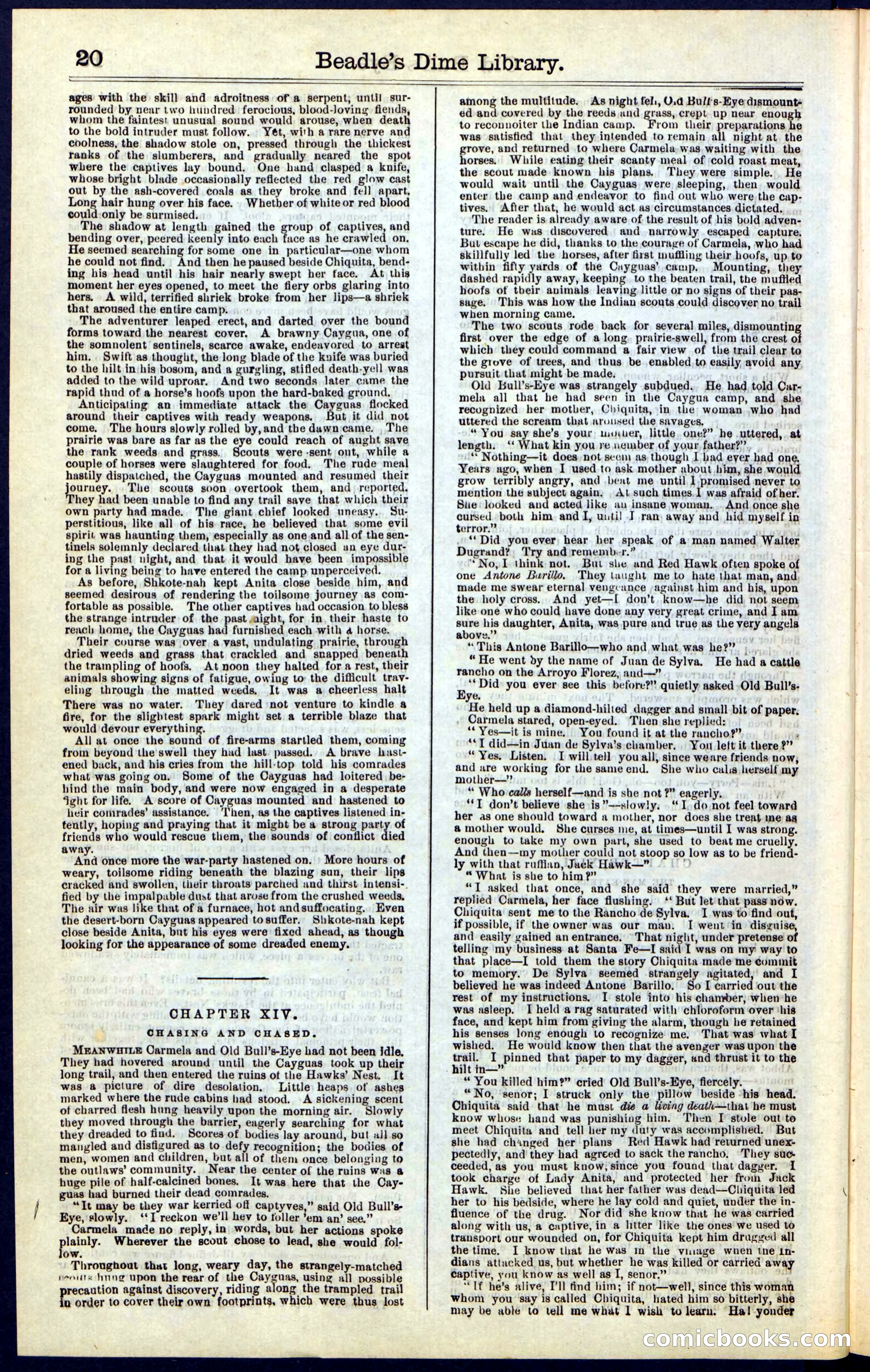 Beadle's Dime Library, Vol. IV, No. 45 — page 20 of 32