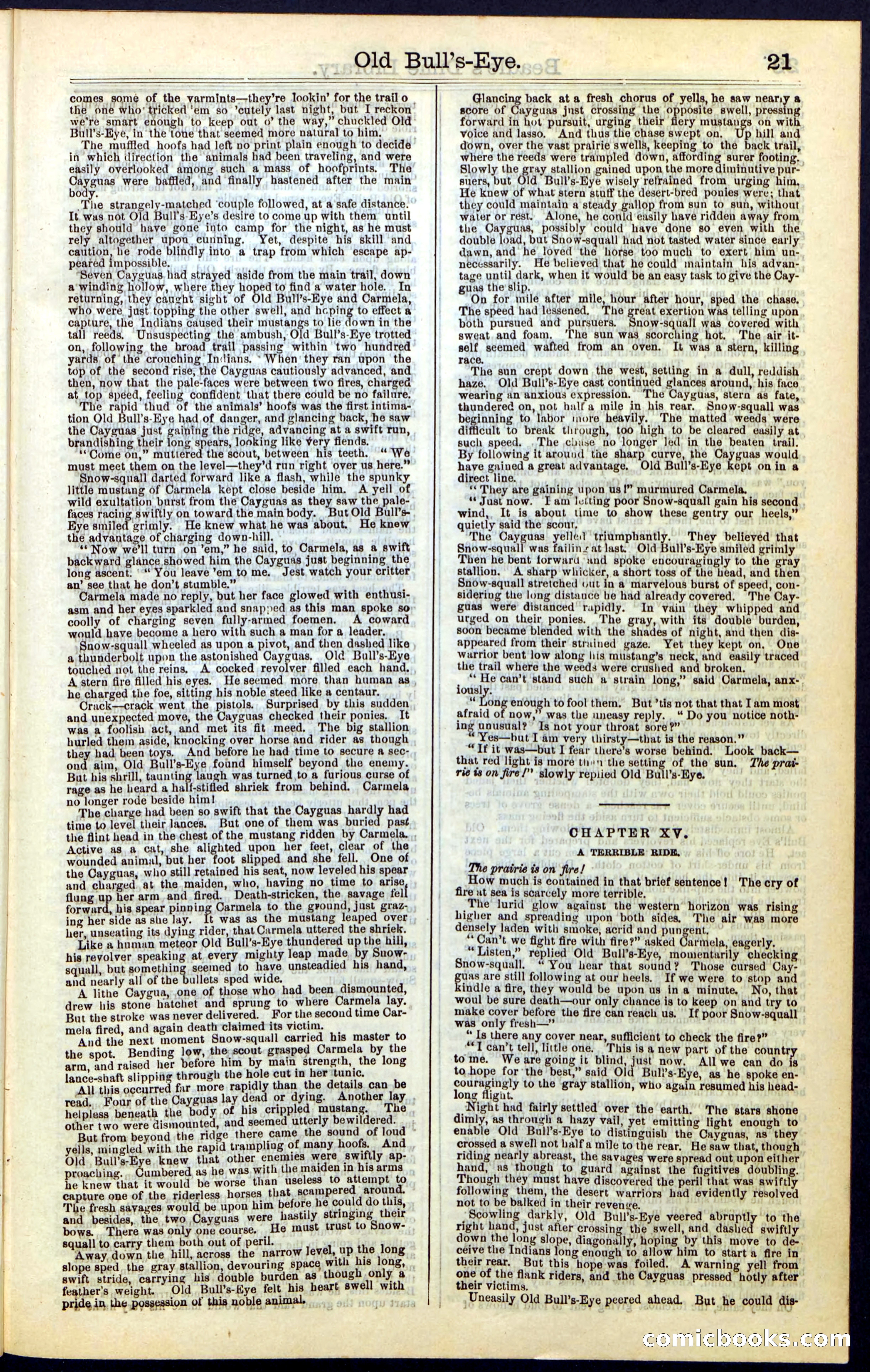 Beadle's Dime Library, Vol. IV, No. 45 — page 21 of 32