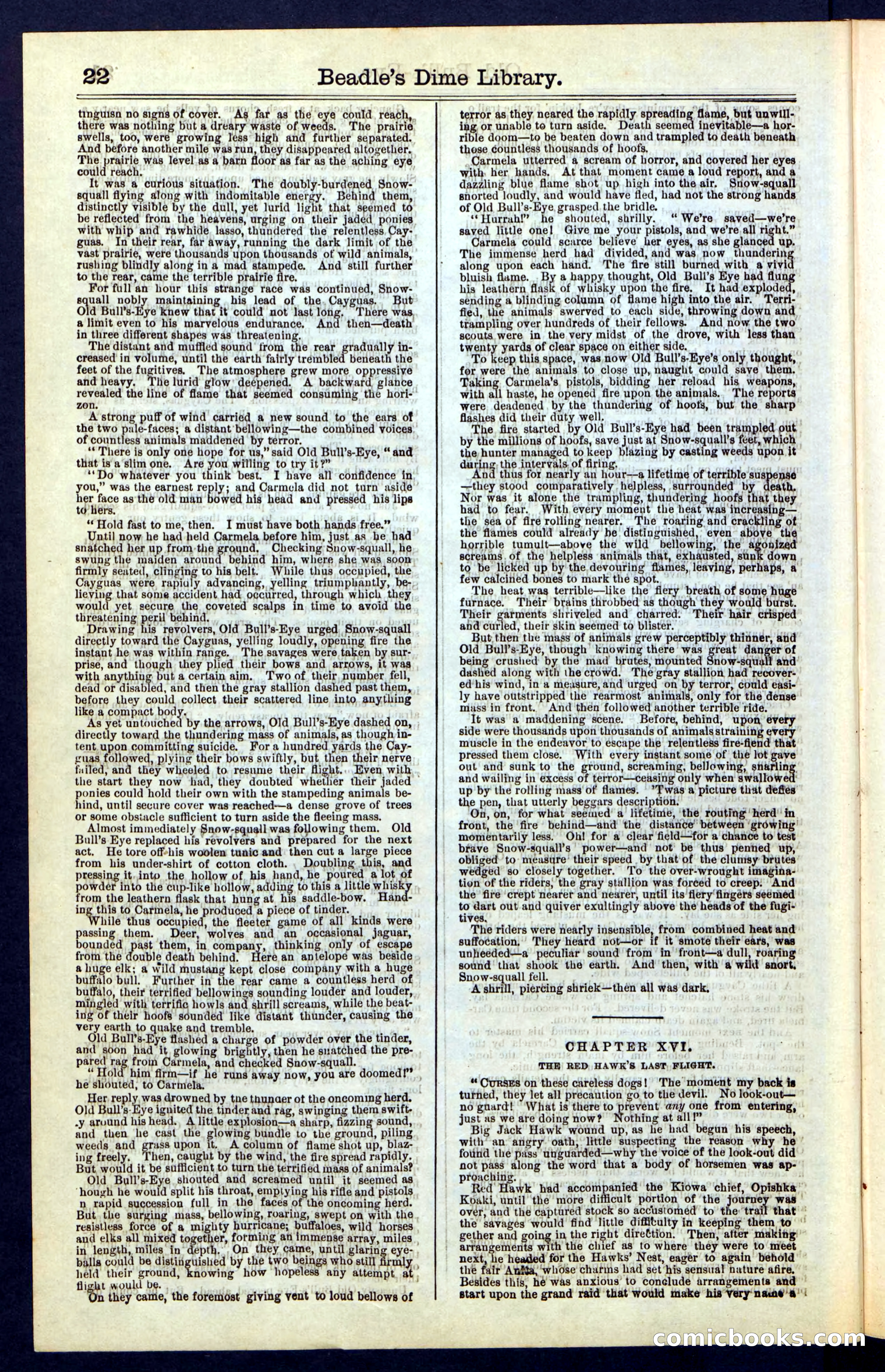 Beadle's Dime Library, Vol. IV, No. 45 — page 22 of 32