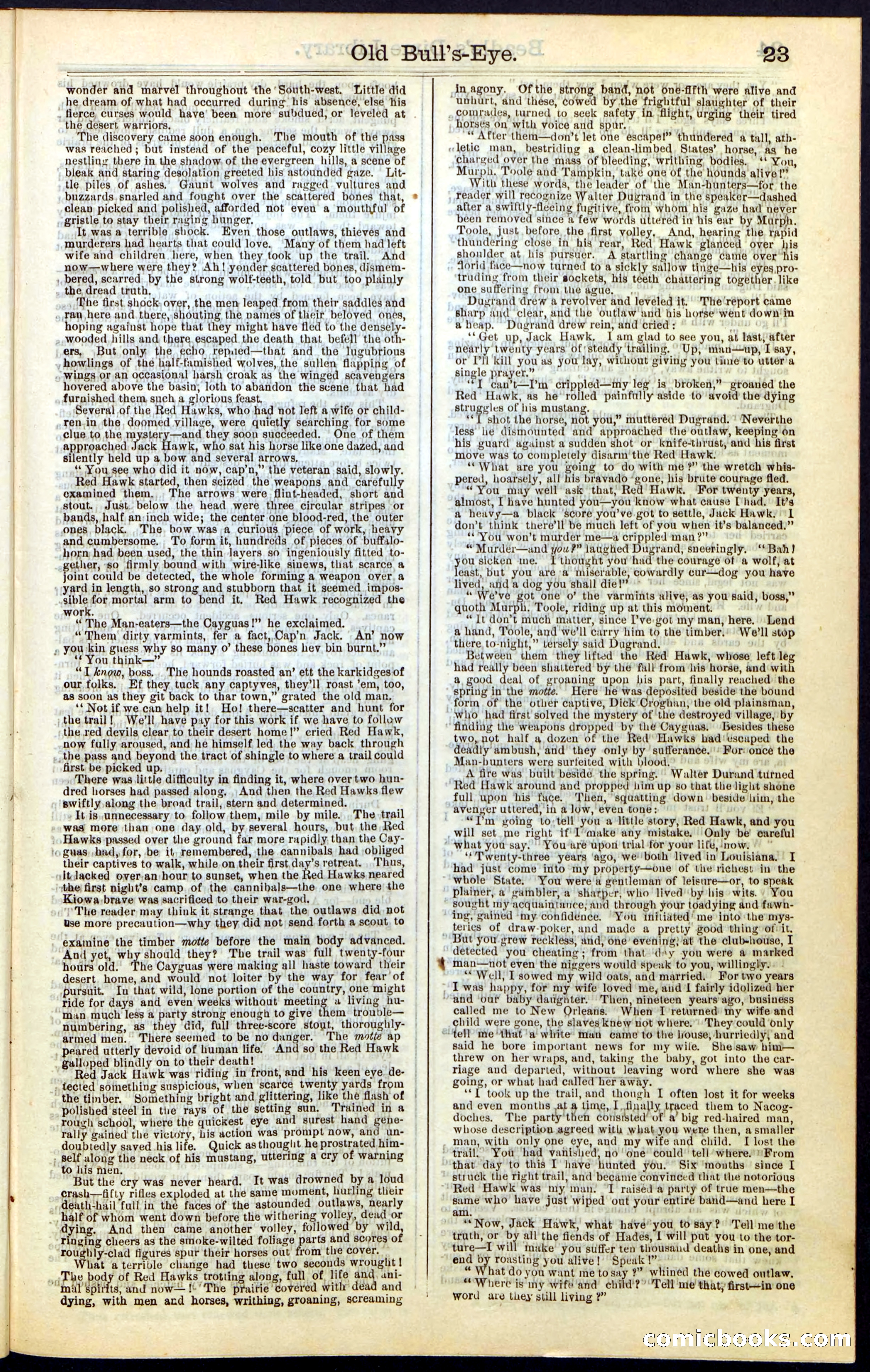 Beadle's Dime Library, Vol. IV, No. 45 — page 23 of 32