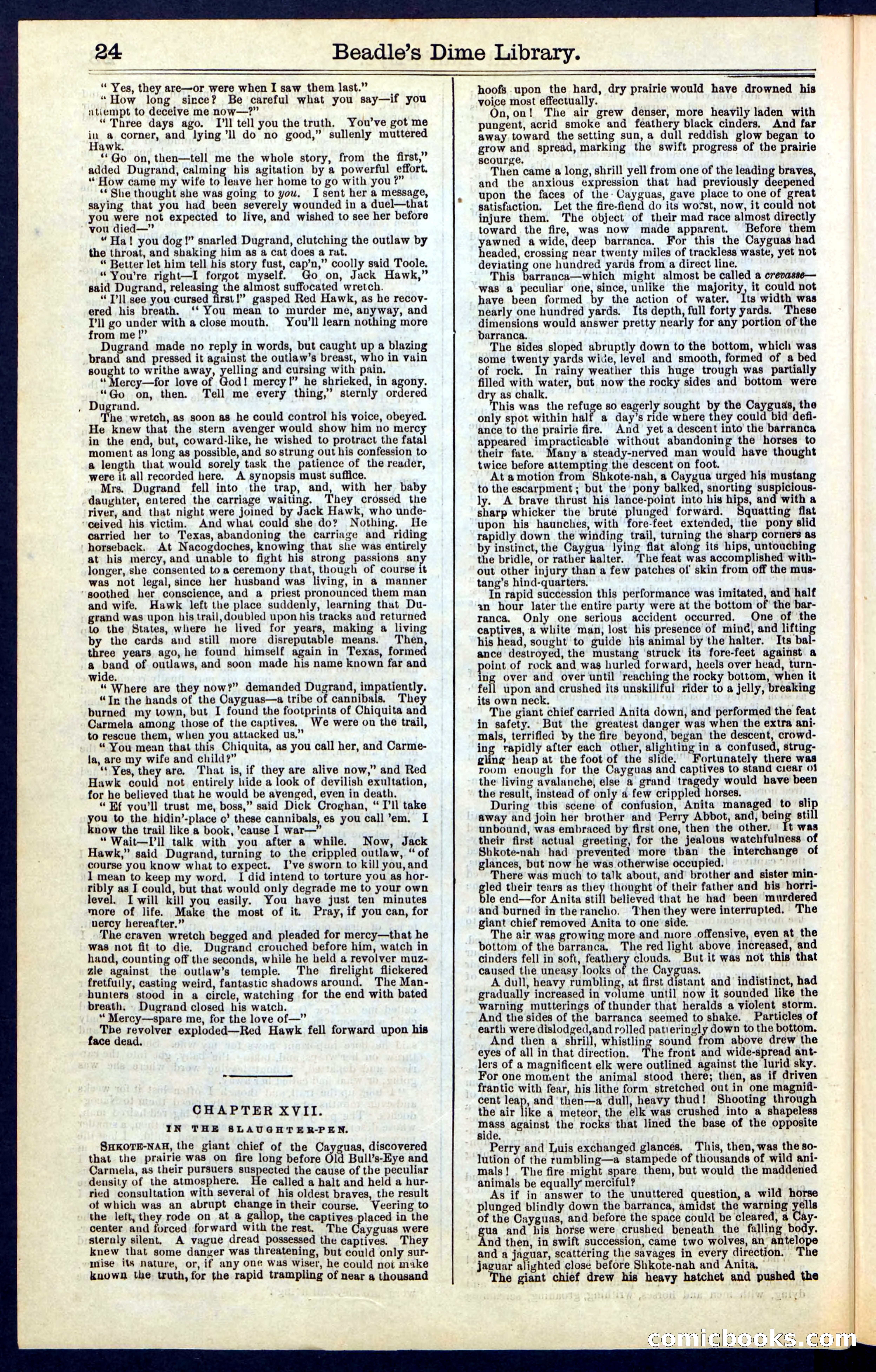 Beadle's Dime Library, Vol. IV, No. 45 — page 24 of 32