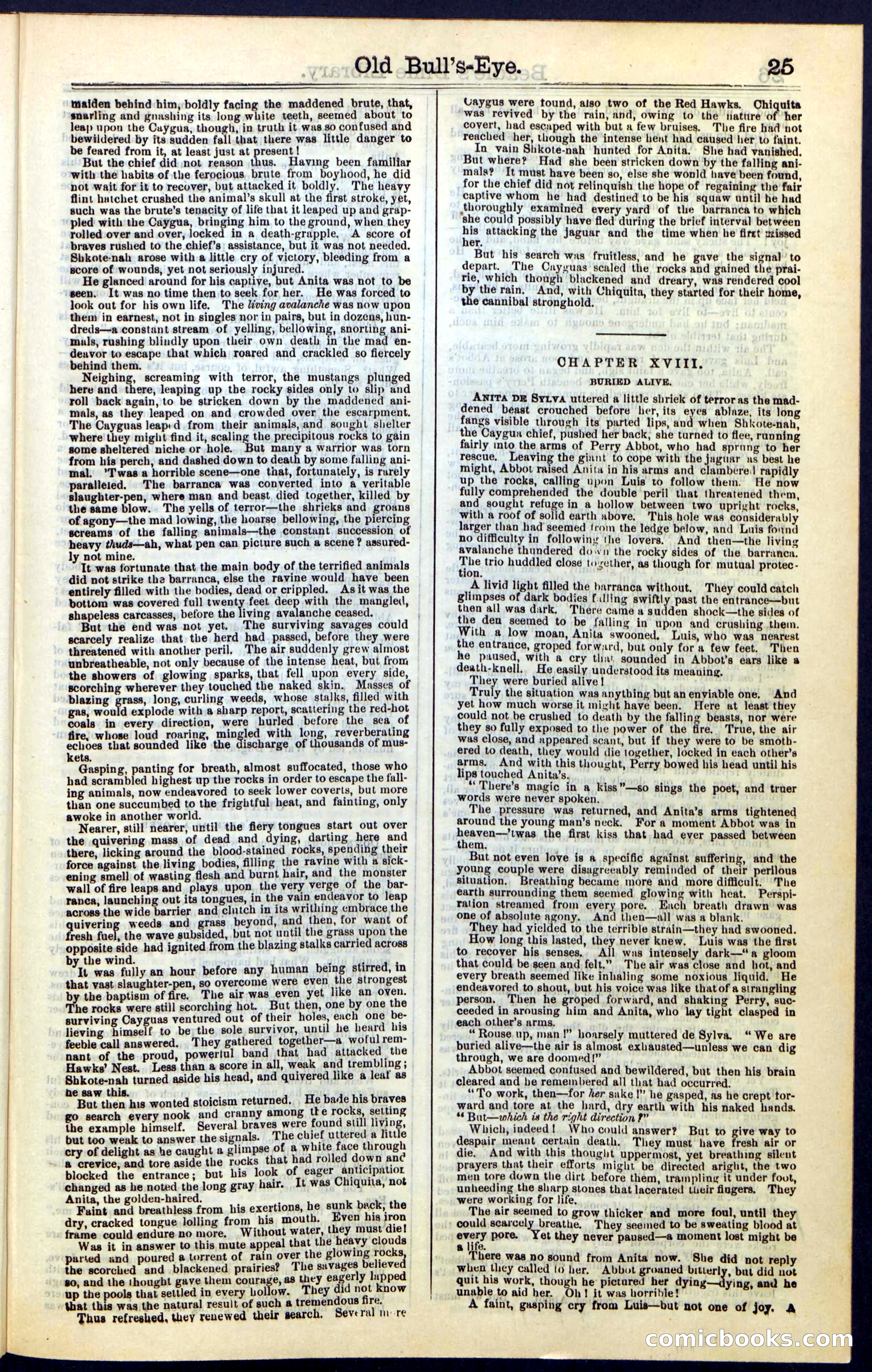 Beadle's Dime Library, Vol. IV, No. 45 — page 25 of 32