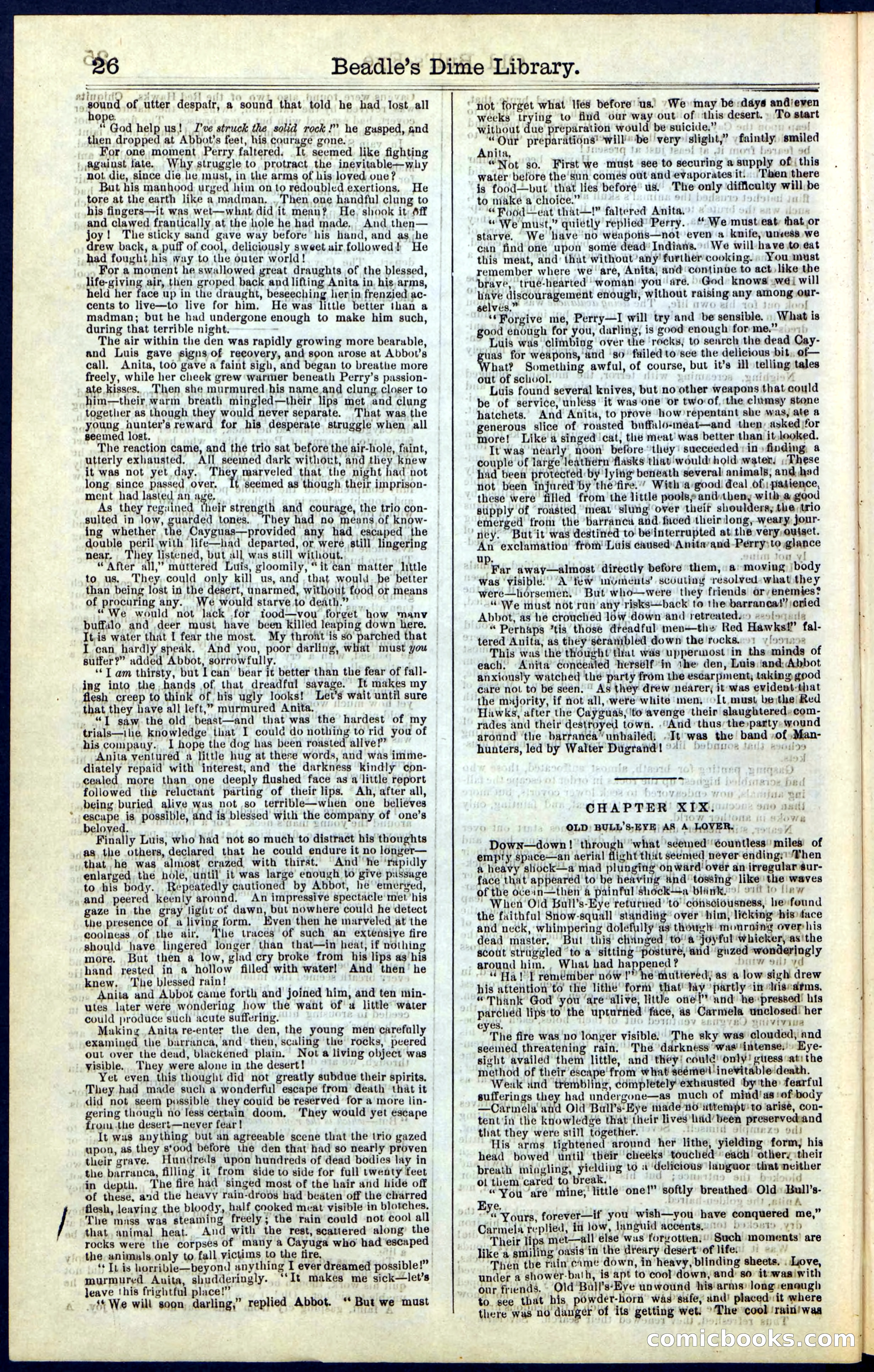 Beadle's Dime Library, Vol. IV, No. 45 — page 26 of 32