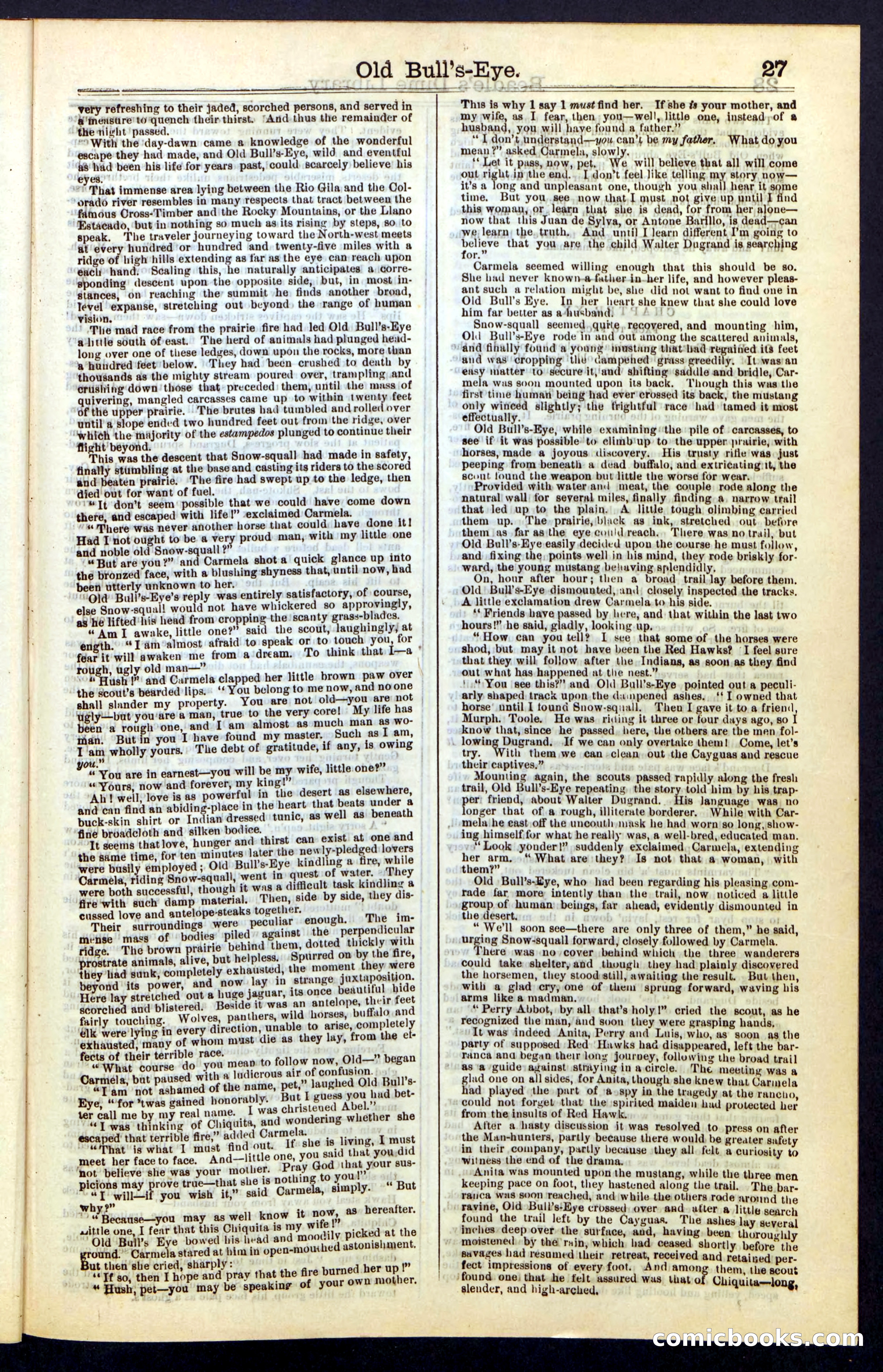 Beadle's Dime Library, Vol. IV, No. 45 — page 27 of 32