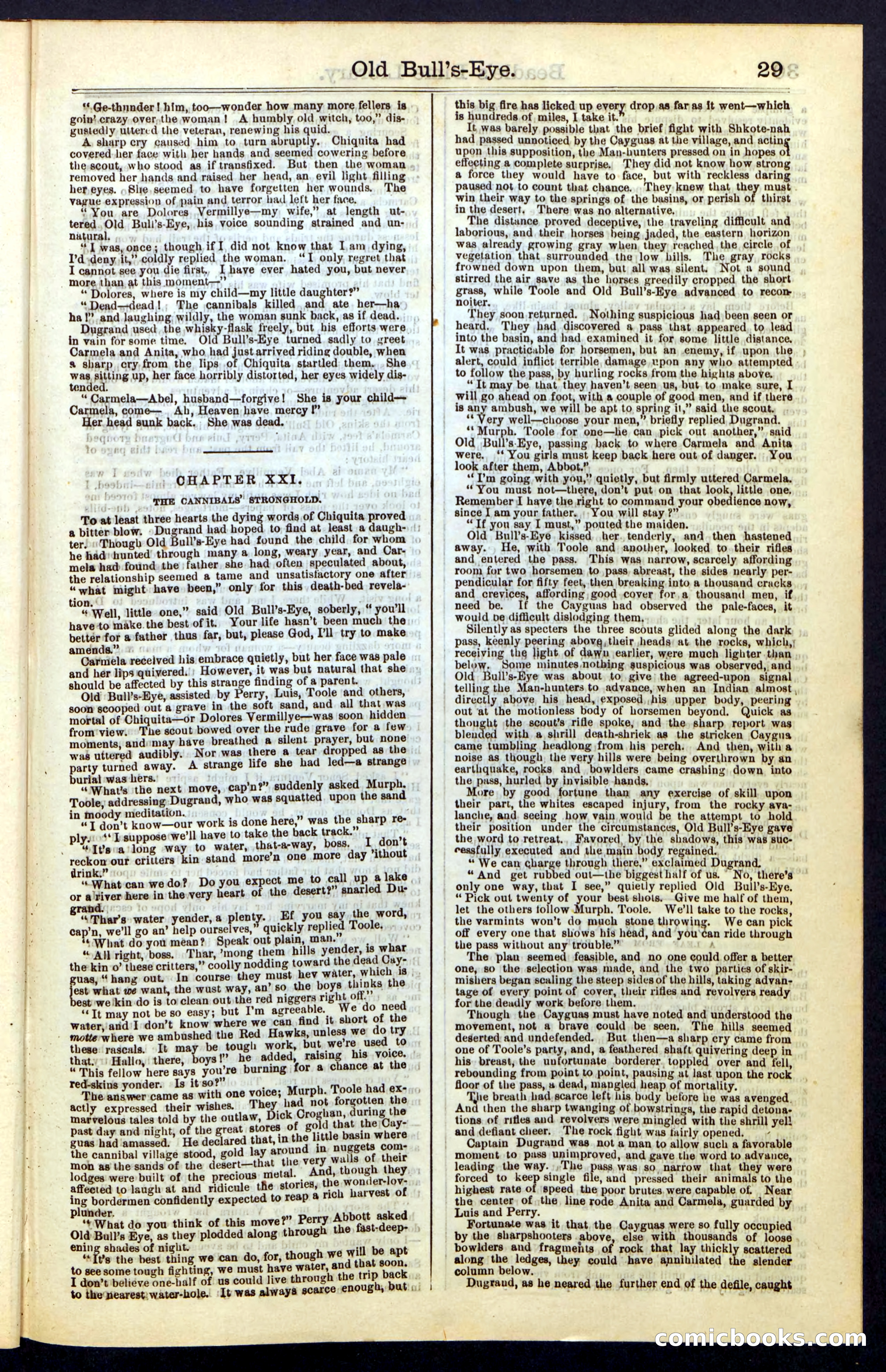 Beadle's Dime Library, Vol. IV, No. 45 — page 29 of 32