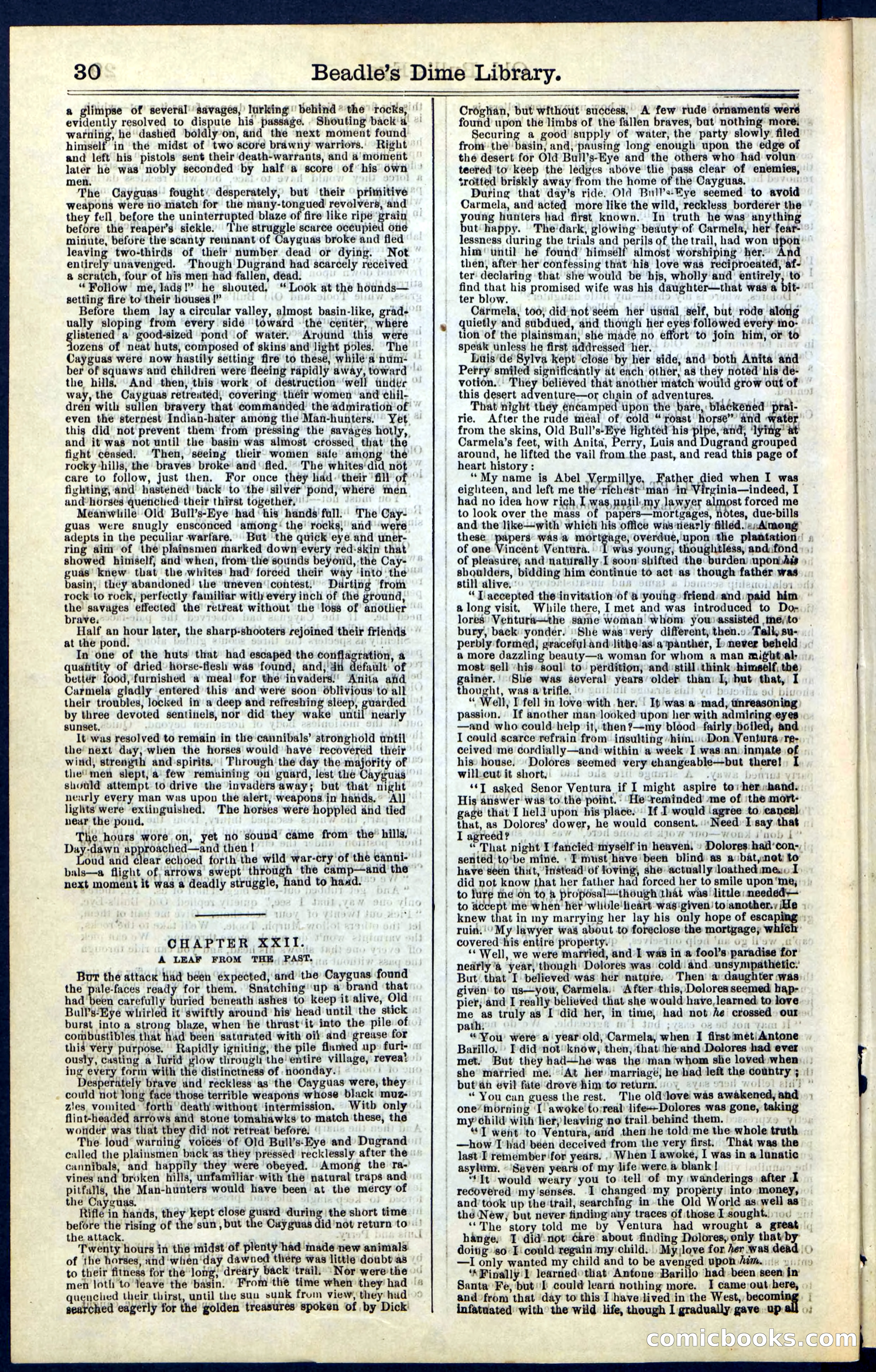 Beadle's Dime Library, Vol. IV, No. 45 — page 30 of 32