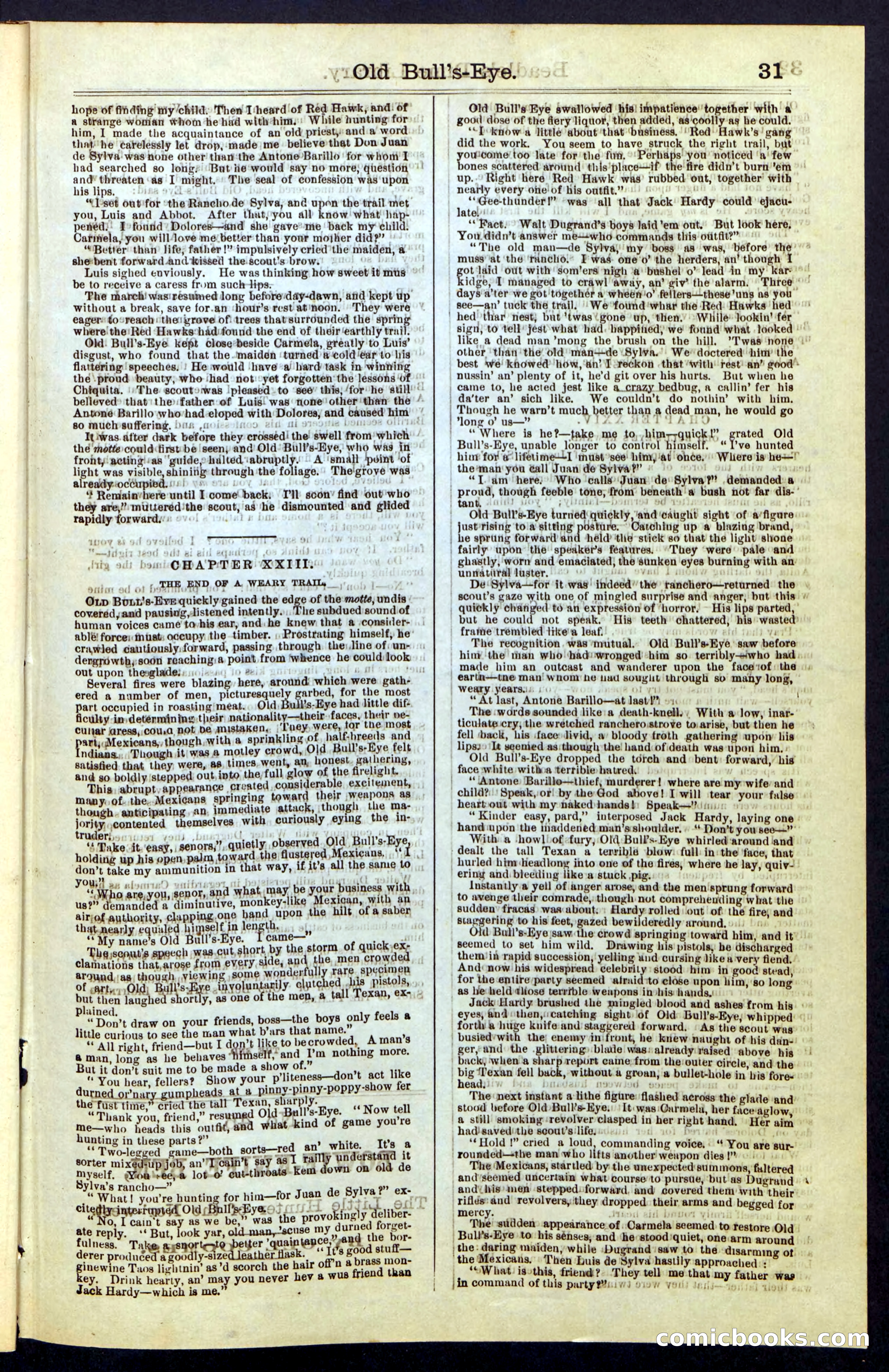 Beadle's Dime Library, Vol. IV, No. 45 — page 31 of 32