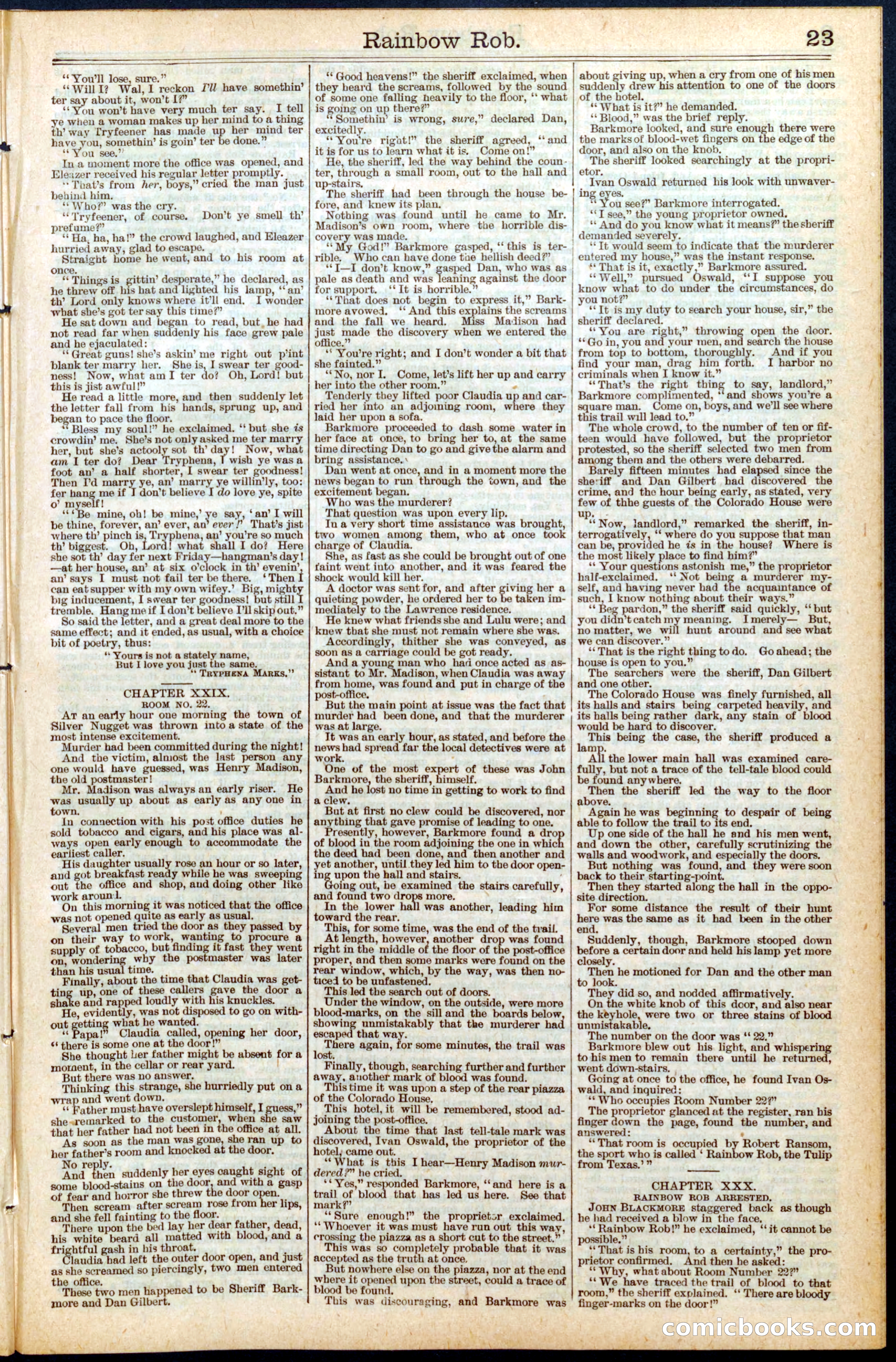 Beadle's New York Dime Library No. 452 — page 23 of 32