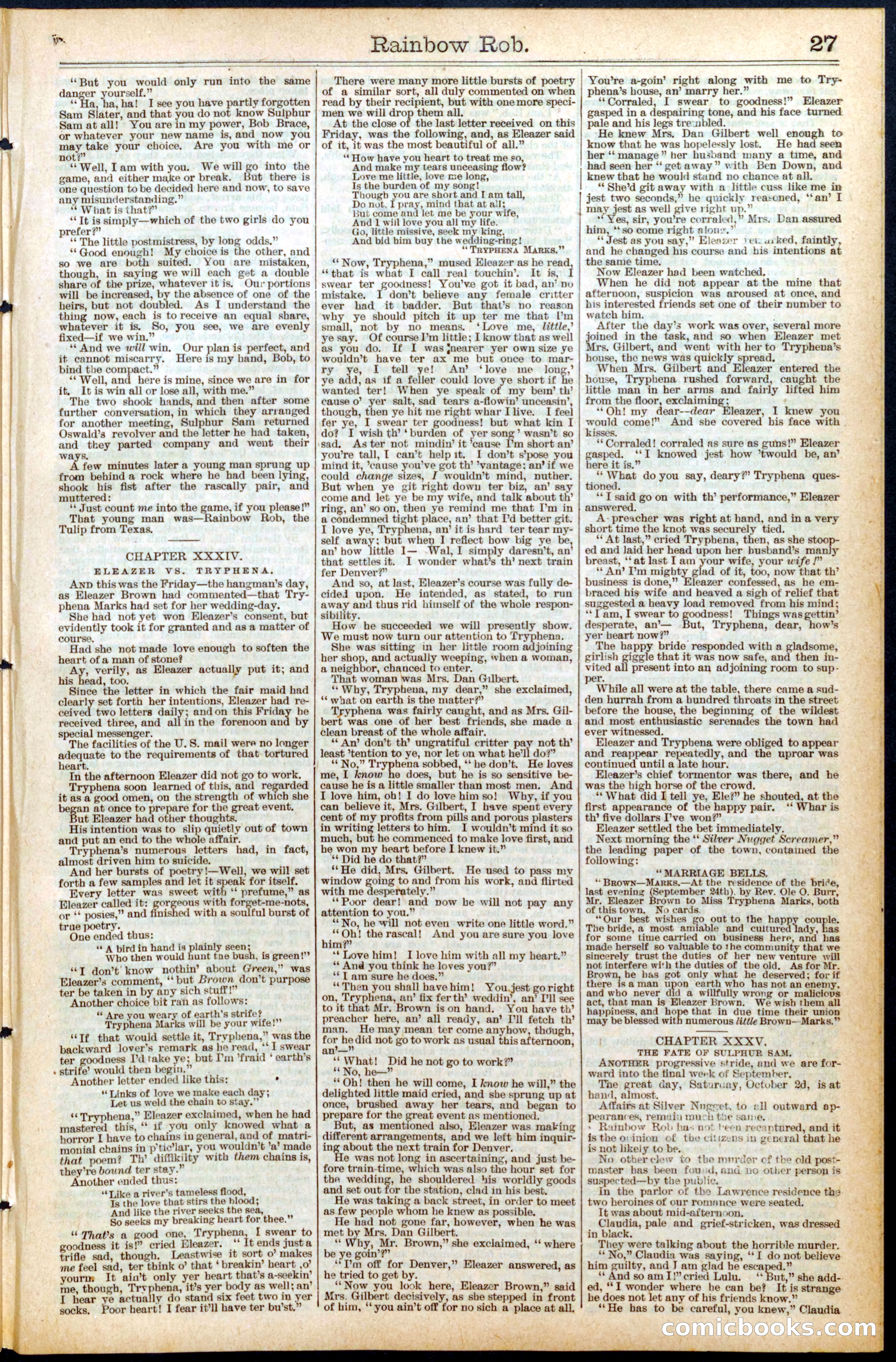 Beadle's New York Dime Library No. 452 — page 27 of 32