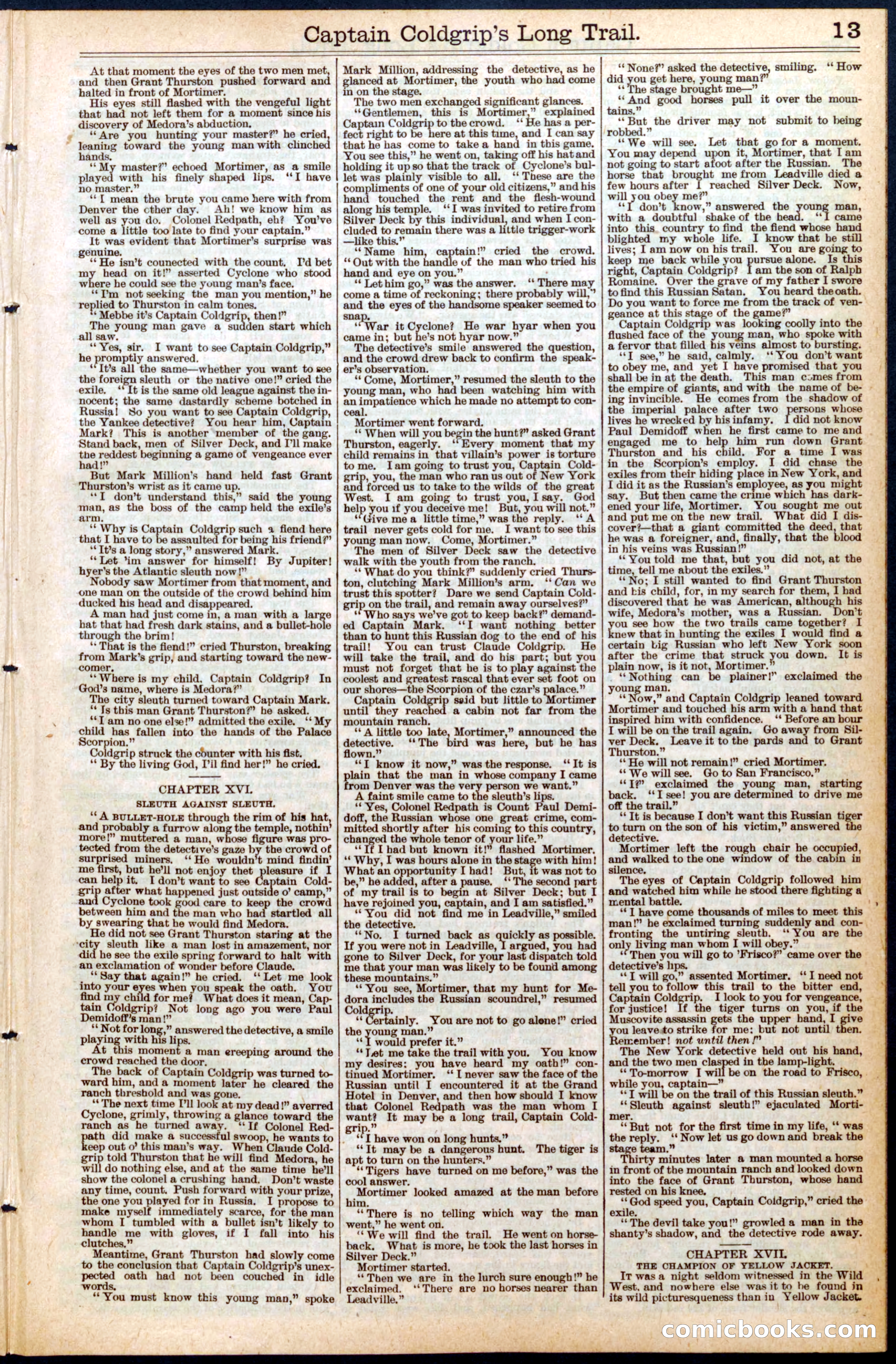 Beadle's New York Dime Library, No. 453 — page 13 of 32
