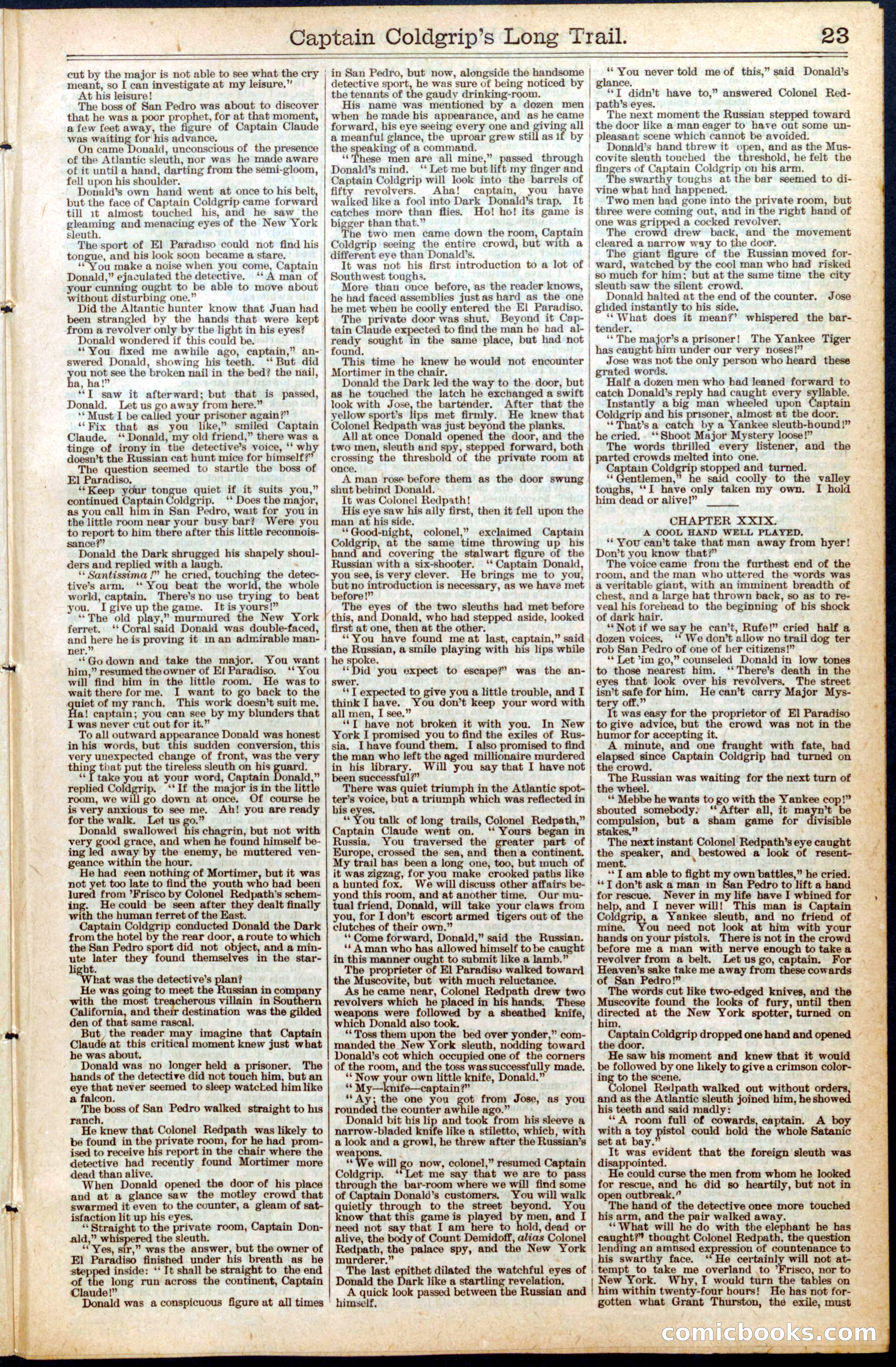 Beadle's New York Dime Library, No. 453 — page 23 of 32