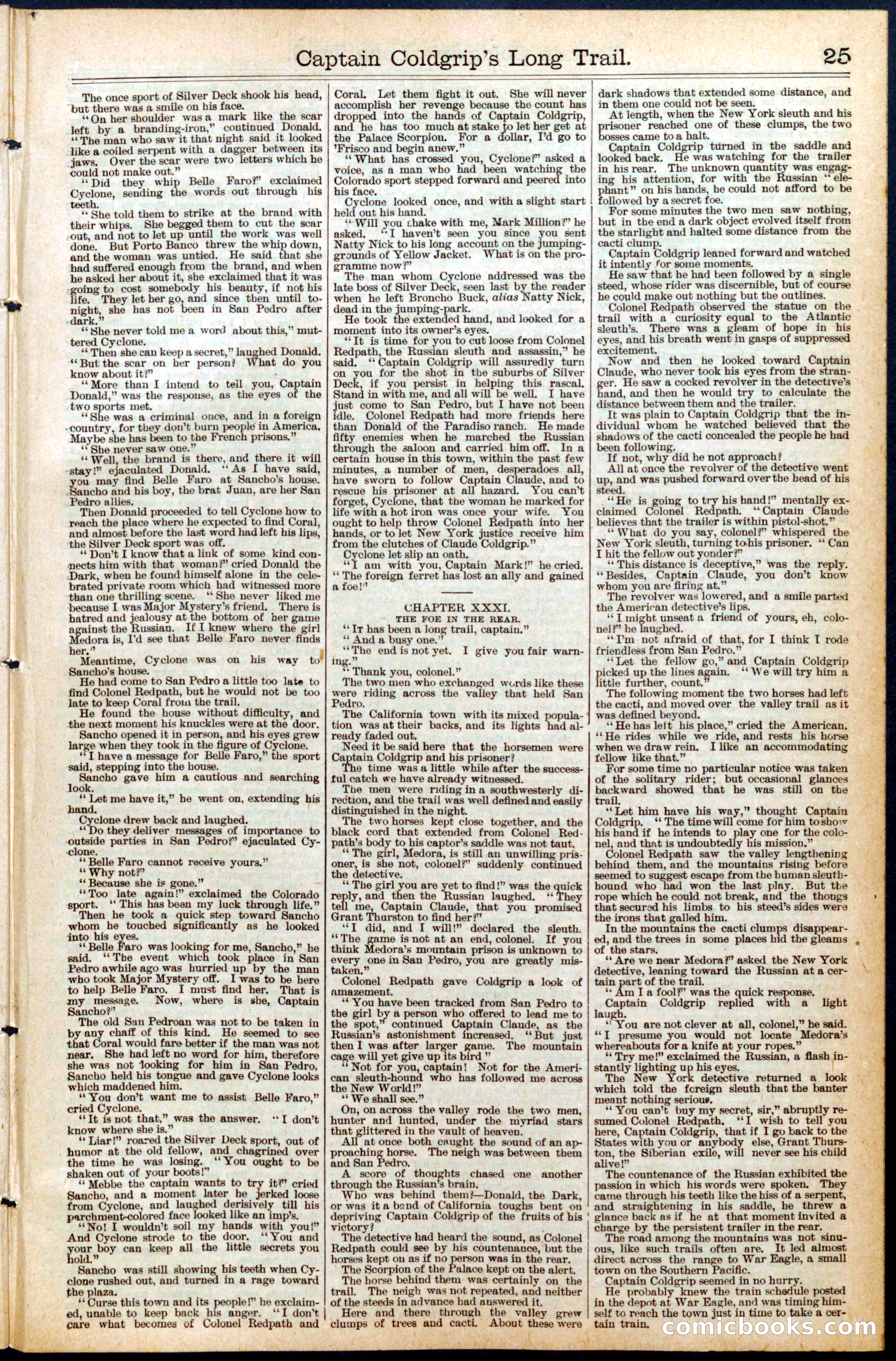 Beadle's New York Dime Library, No. 453 — page 25 of 32