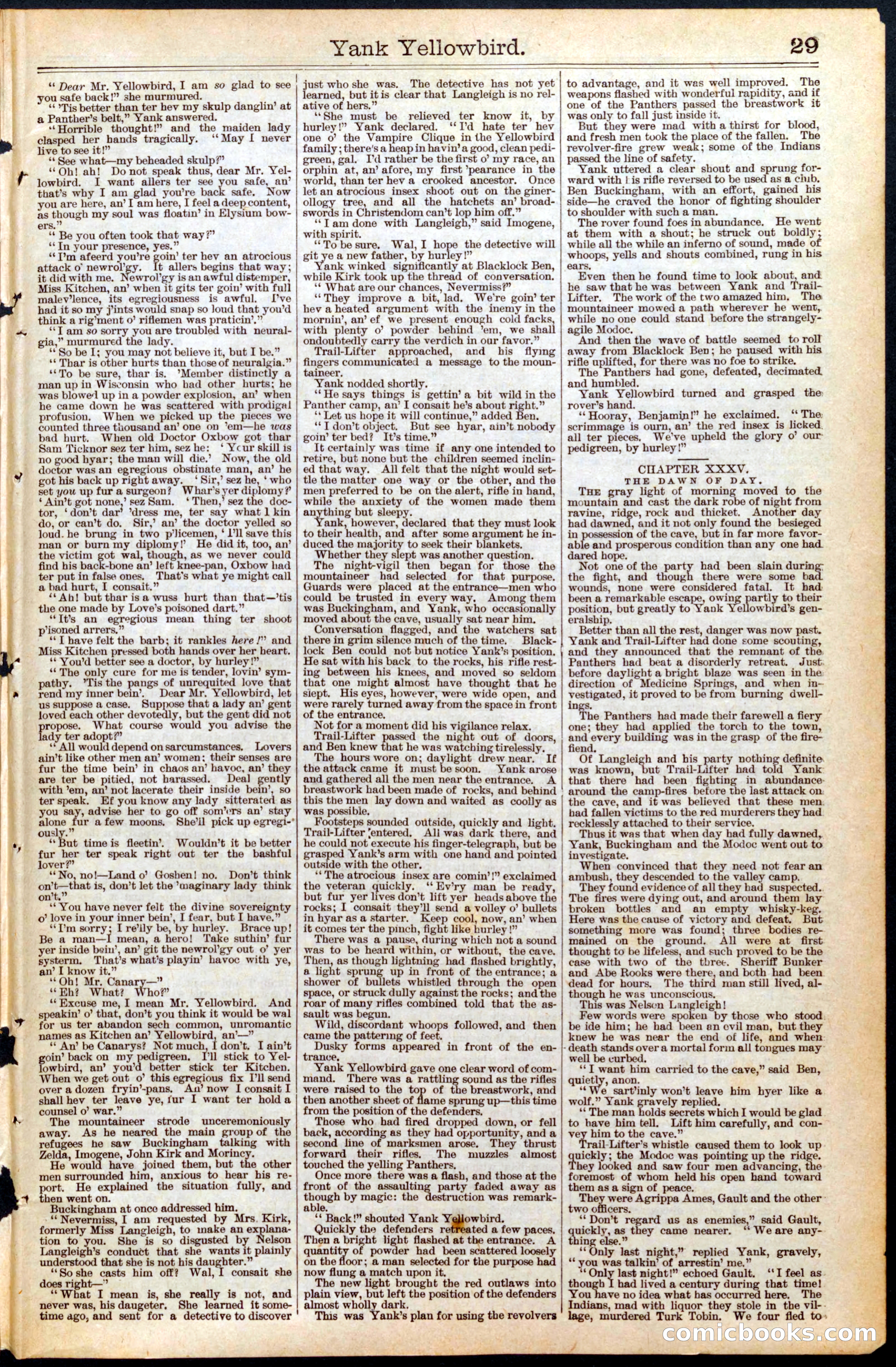Beadle's New York Dime Library, No. 455 — page 29 of 32
