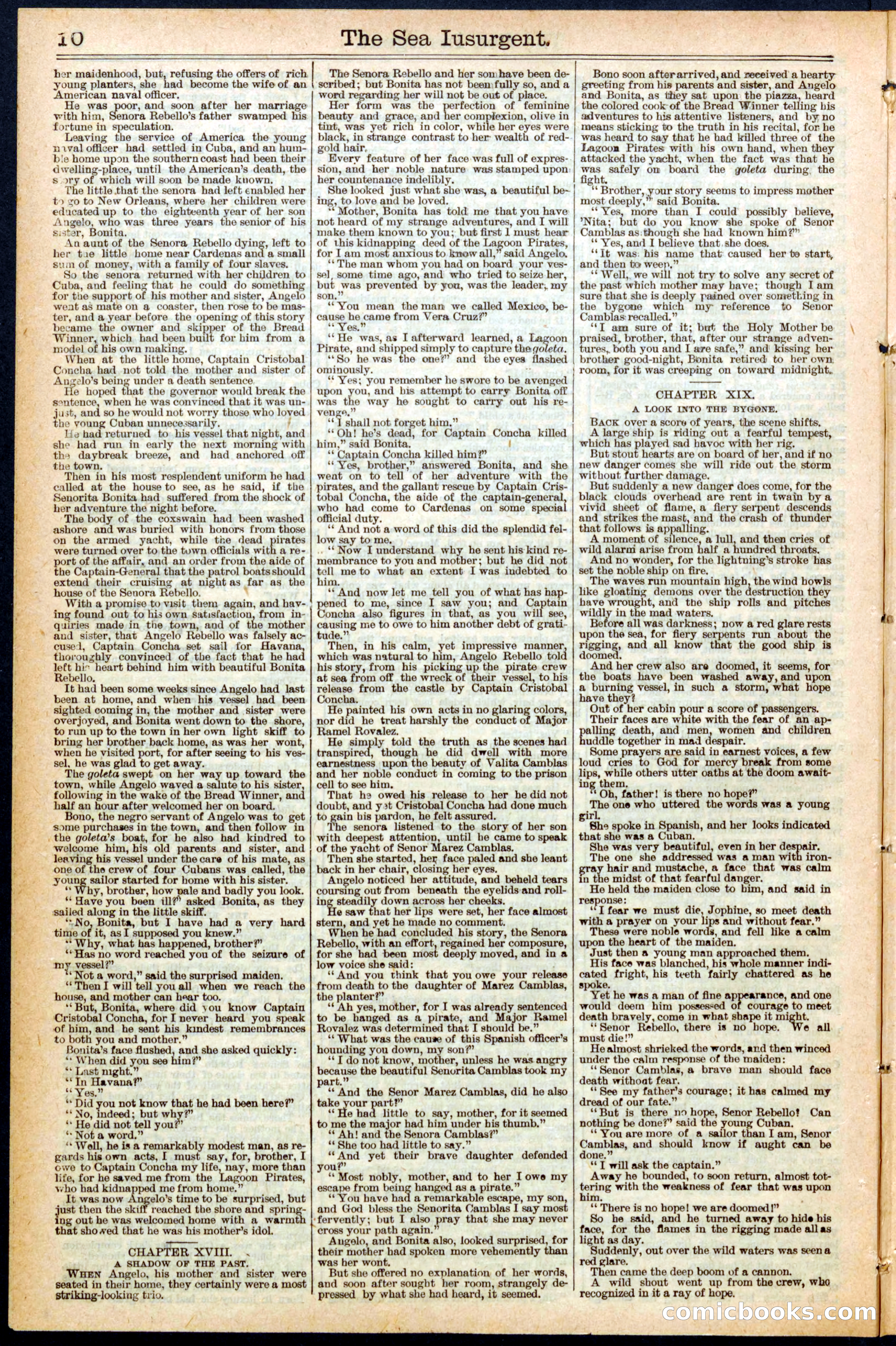 Beadle's New York Dime Library No. 457 — page 10 of 32