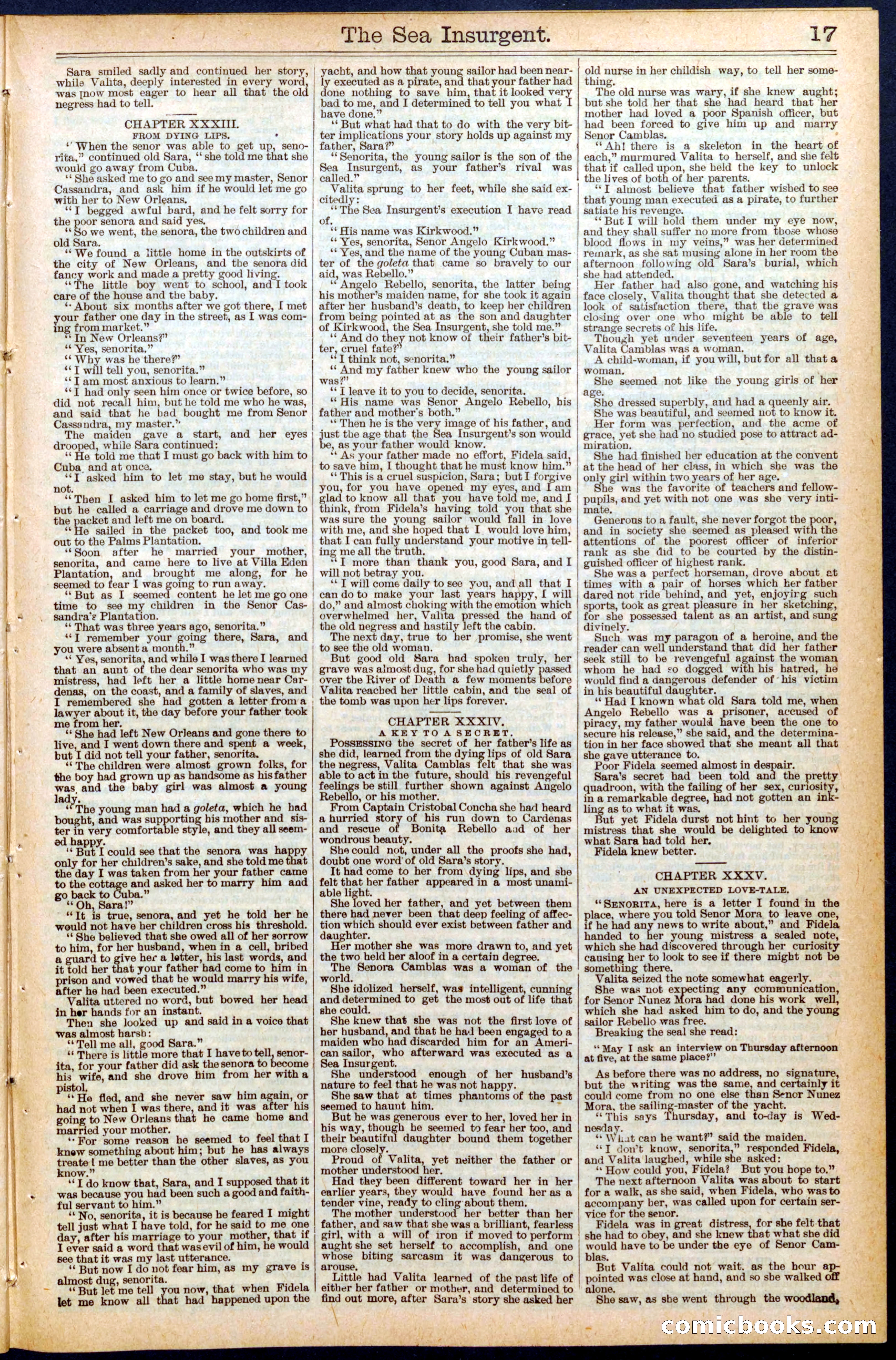 Beadle's New York Dime Library No. 457 — page 17 of 32