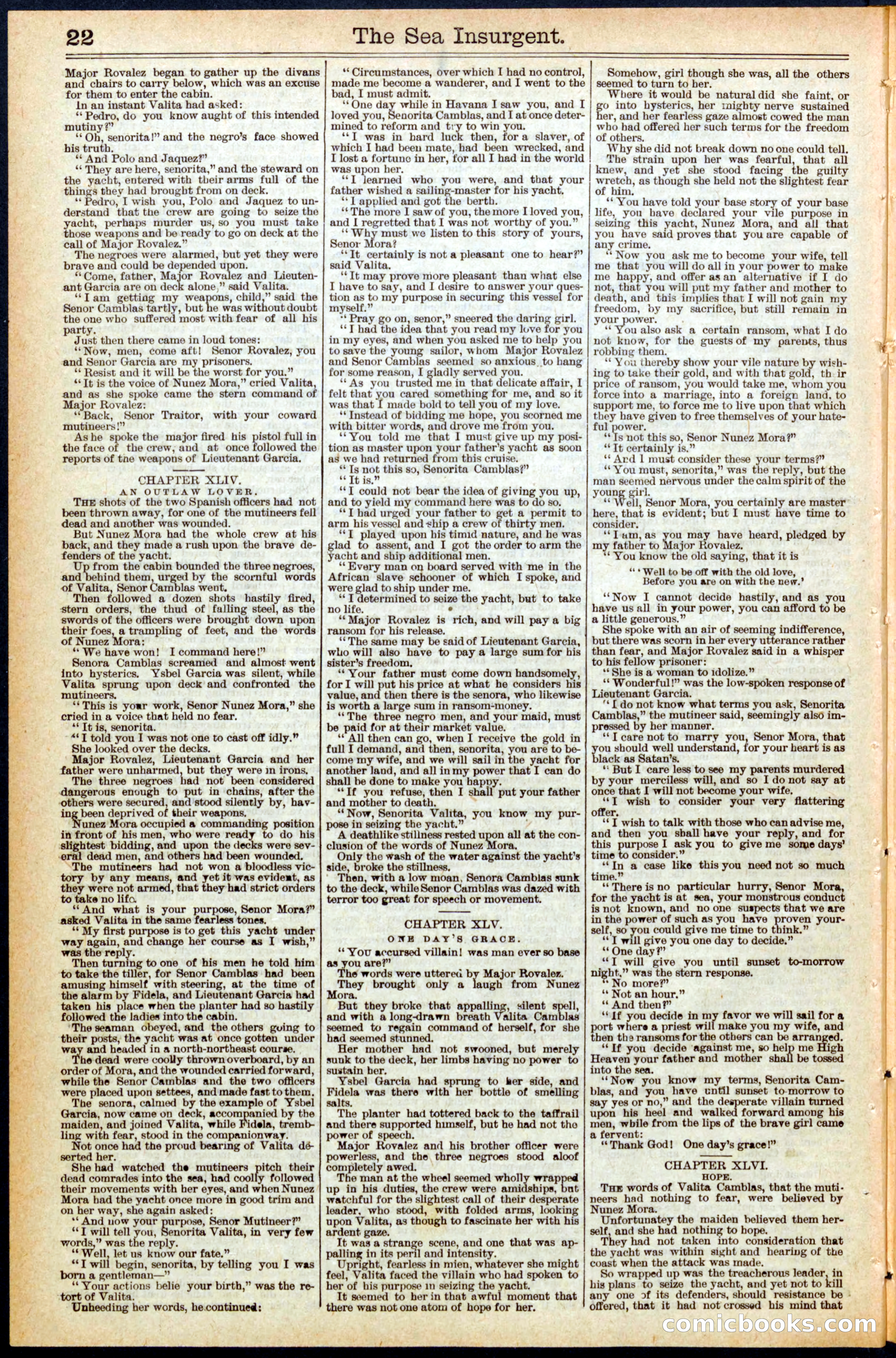 Beadle's New York Dime Library No. 457 — page 22 of 32