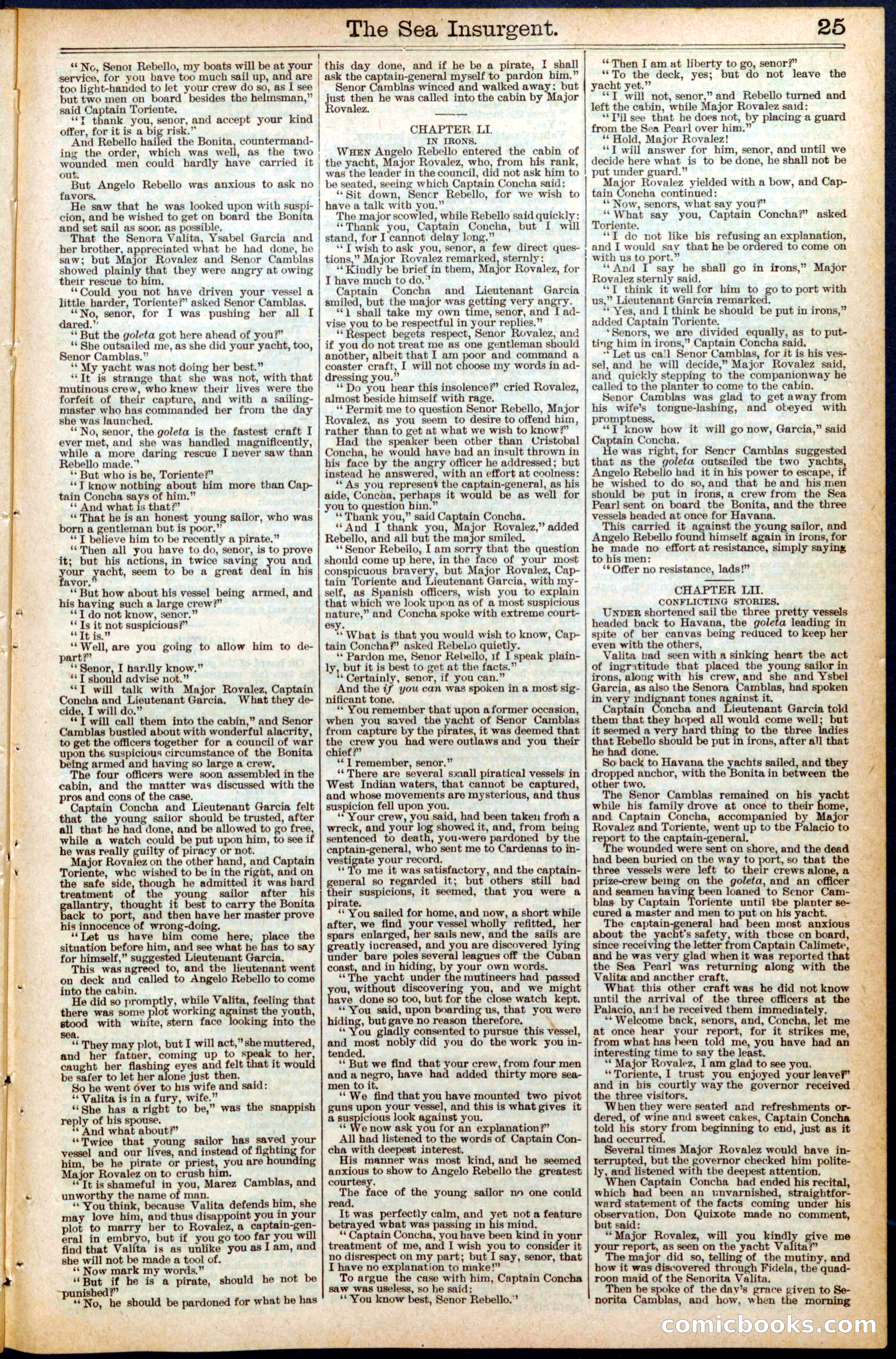 Beadle's New York Dime Library No. 457 — page 25 of 32