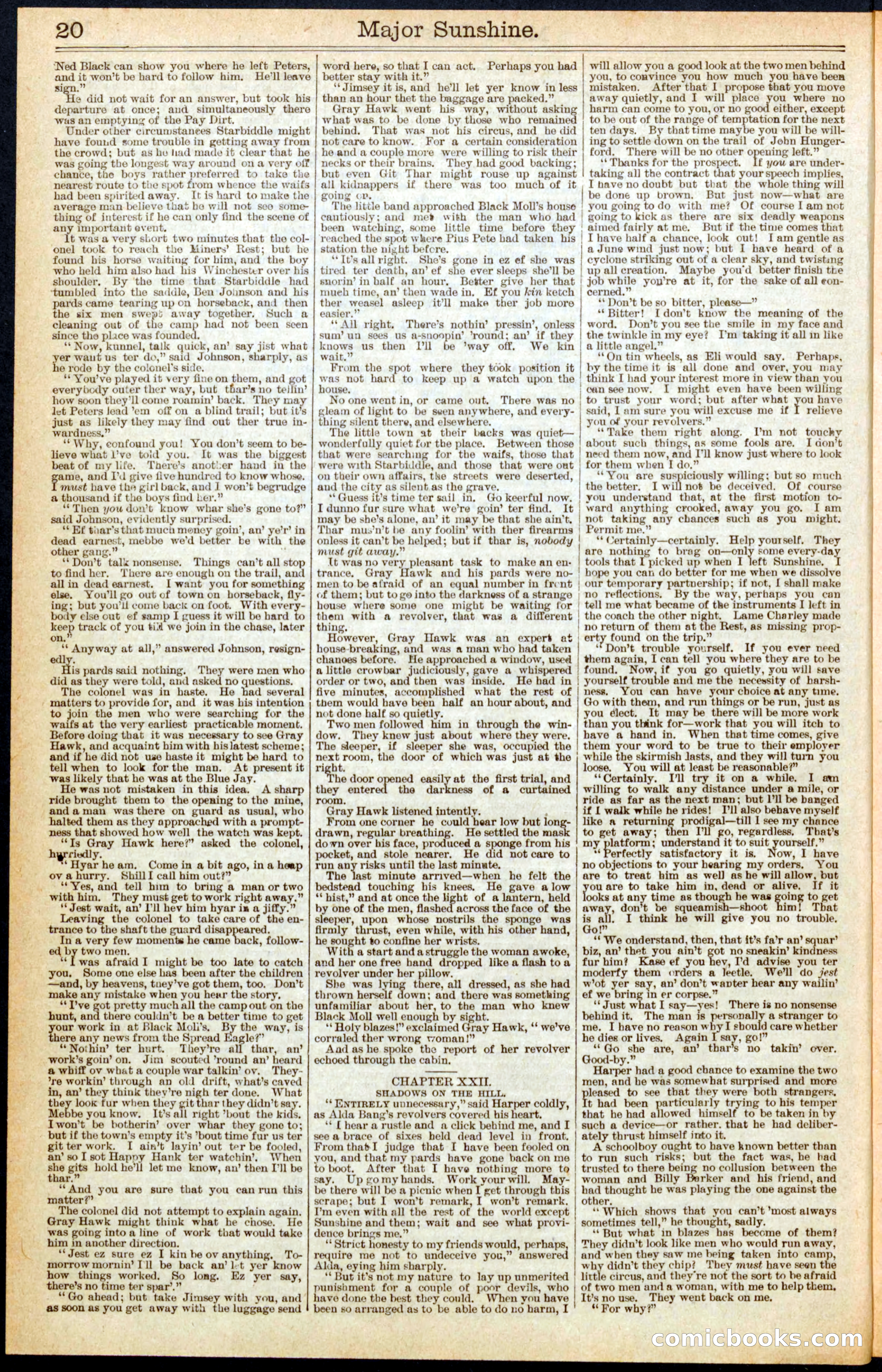 Beadle's New York Dime Library, No. 459 — page 20 of 32