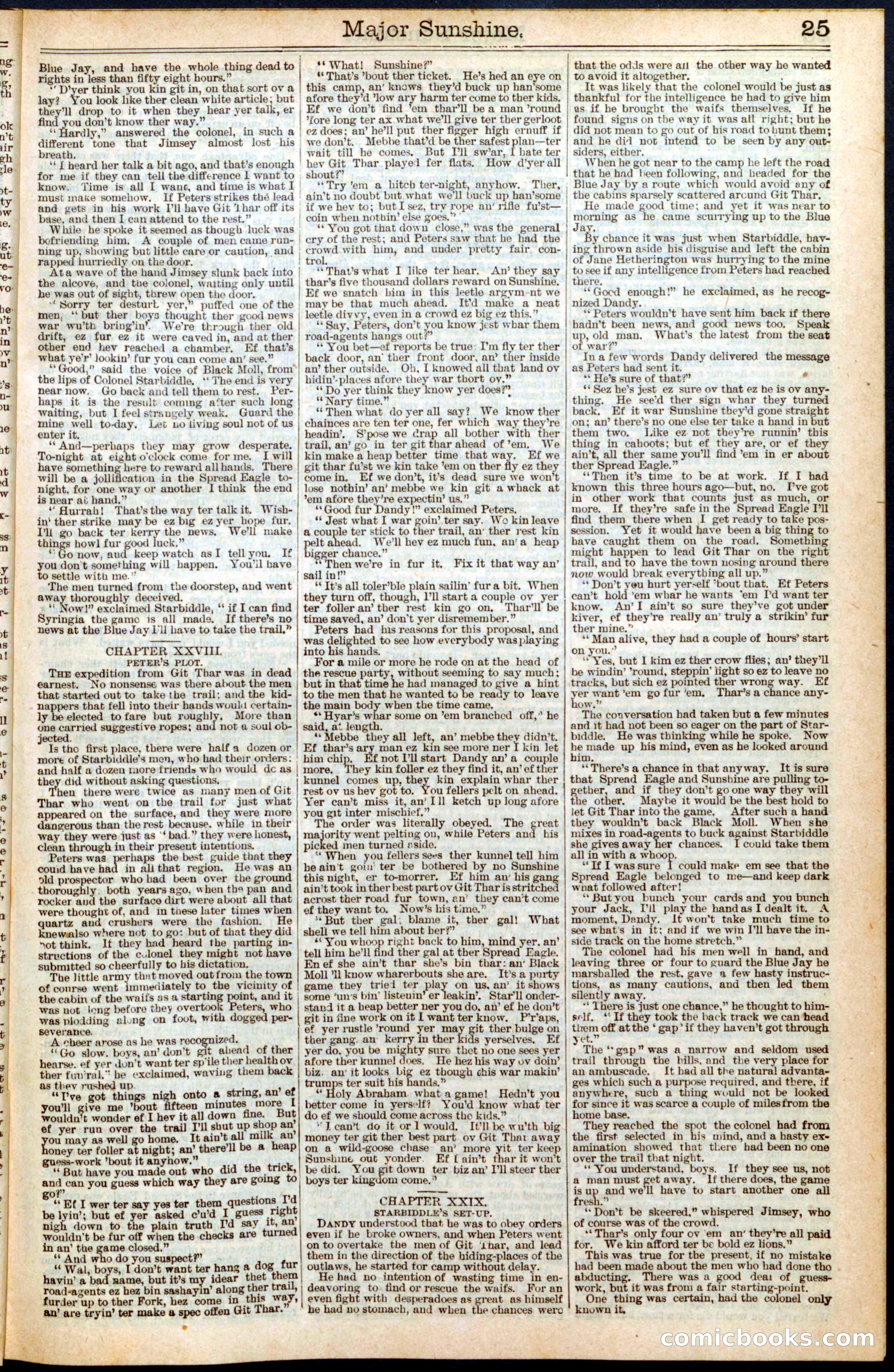 Beadle's New York Dime Library, No. 459 — page 25 of 32